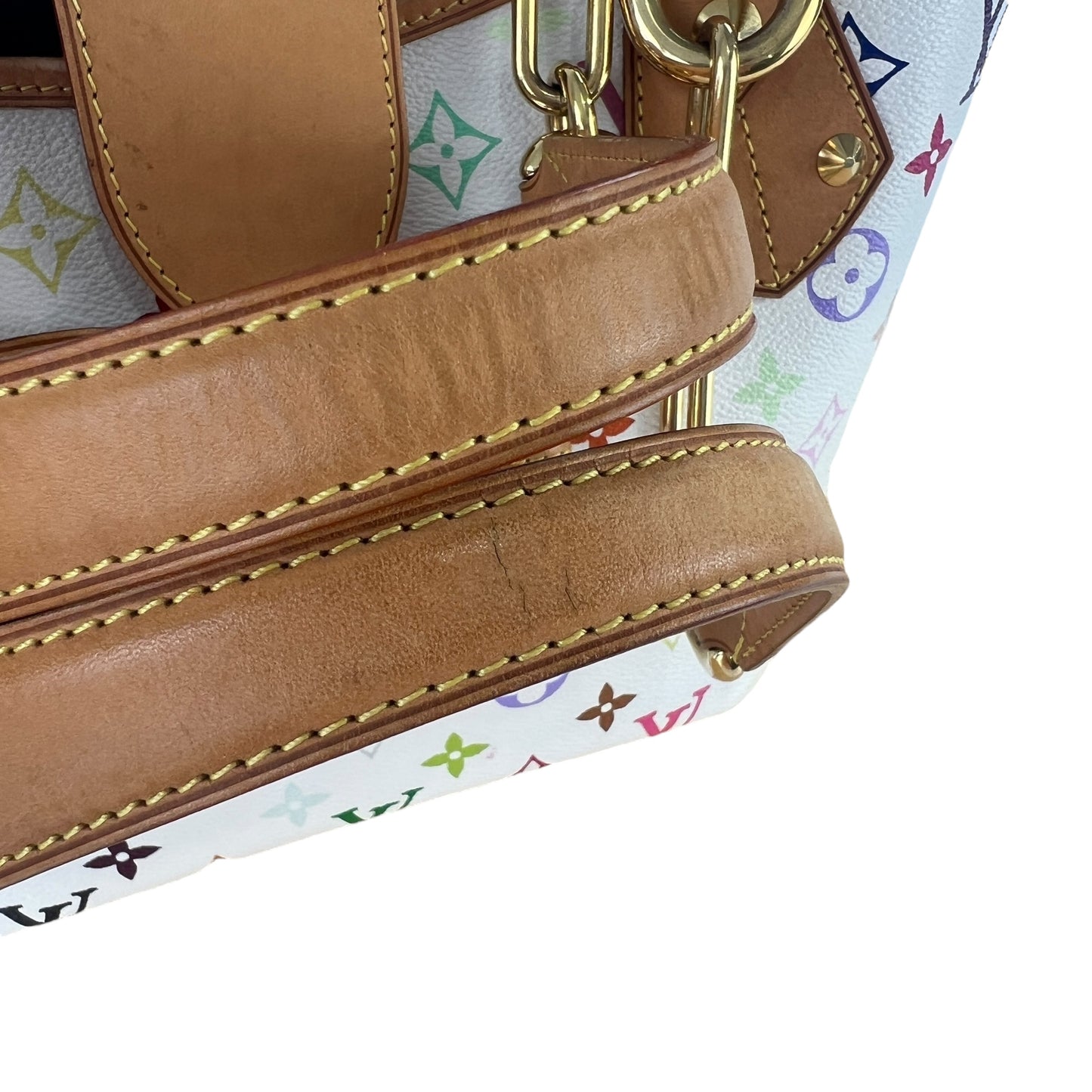 Louis Vuitton Multicolor Annie MM Shoulder Bag