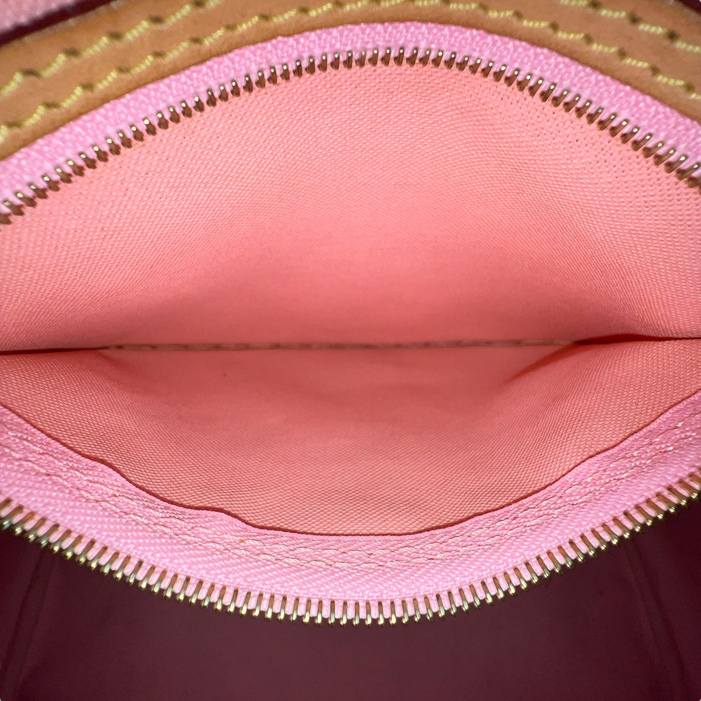 Louis Vuitton Monogram Jungle Dot Speedy 30 Bag