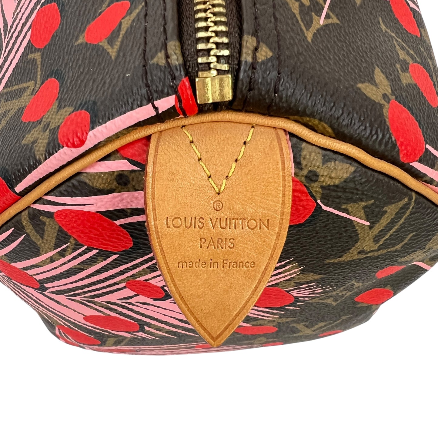 Louis Vuitton Monogram Jungle Dot Speedy 30 Bag