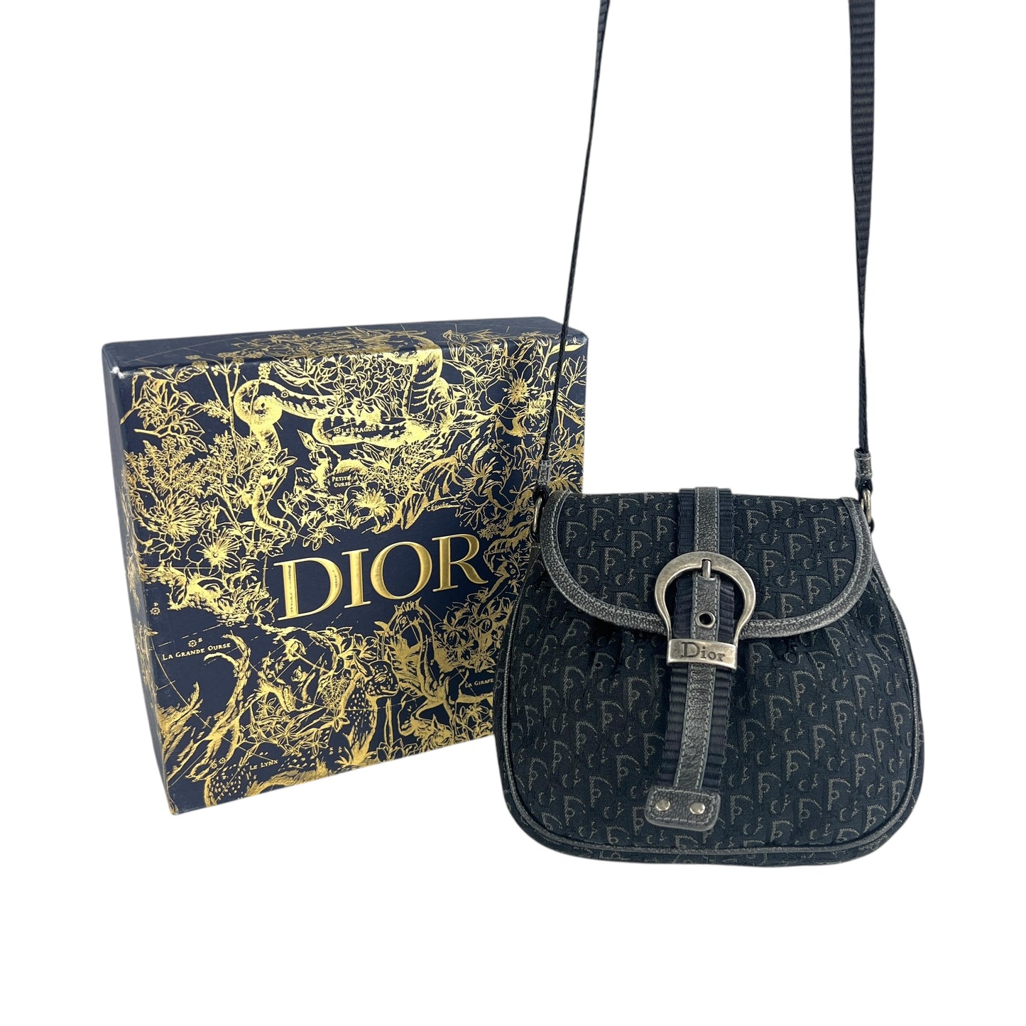 Dior Trotter Mini Crossbody Bag