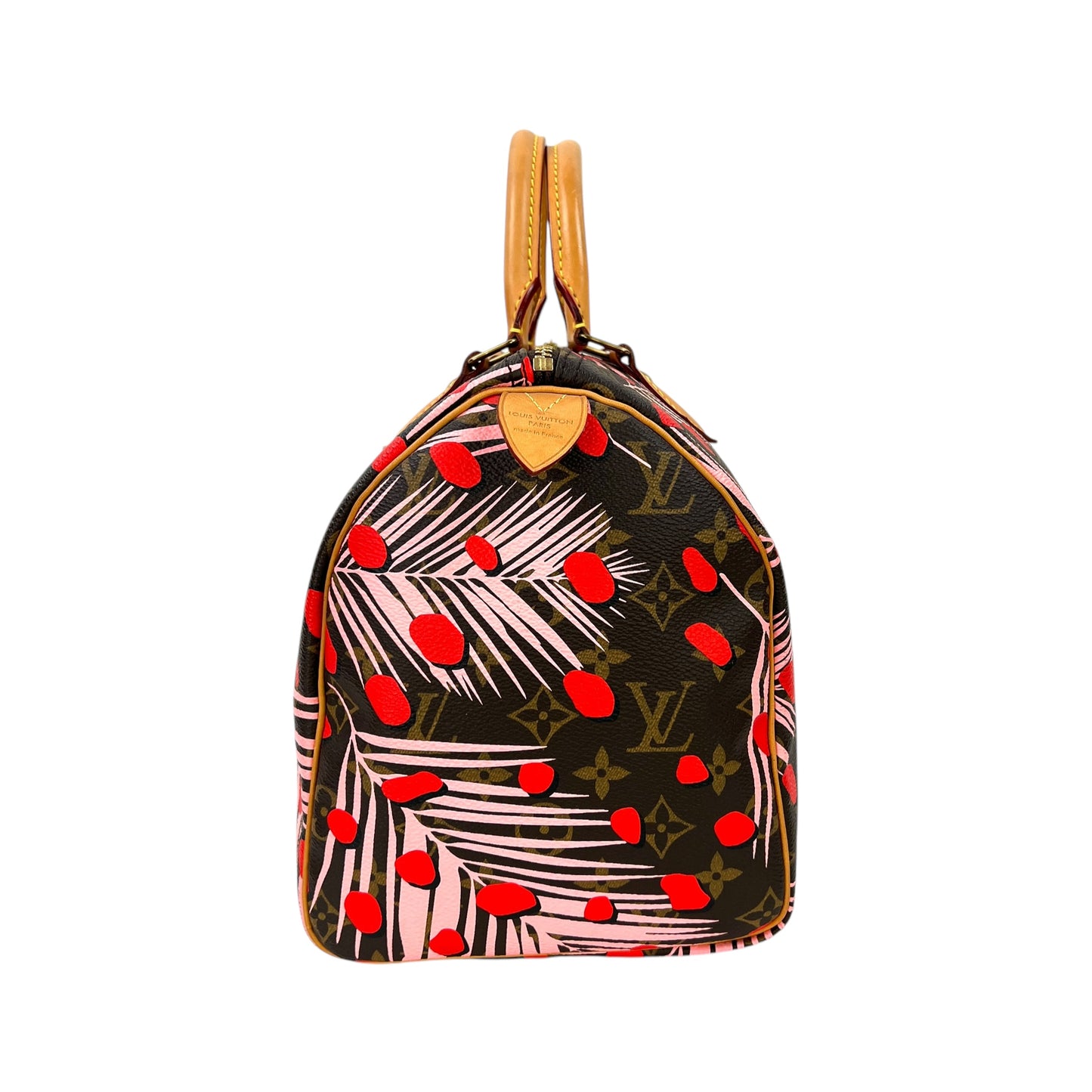 Louis Vuitton Monogram Jungle Dot Speedy 30 Bag