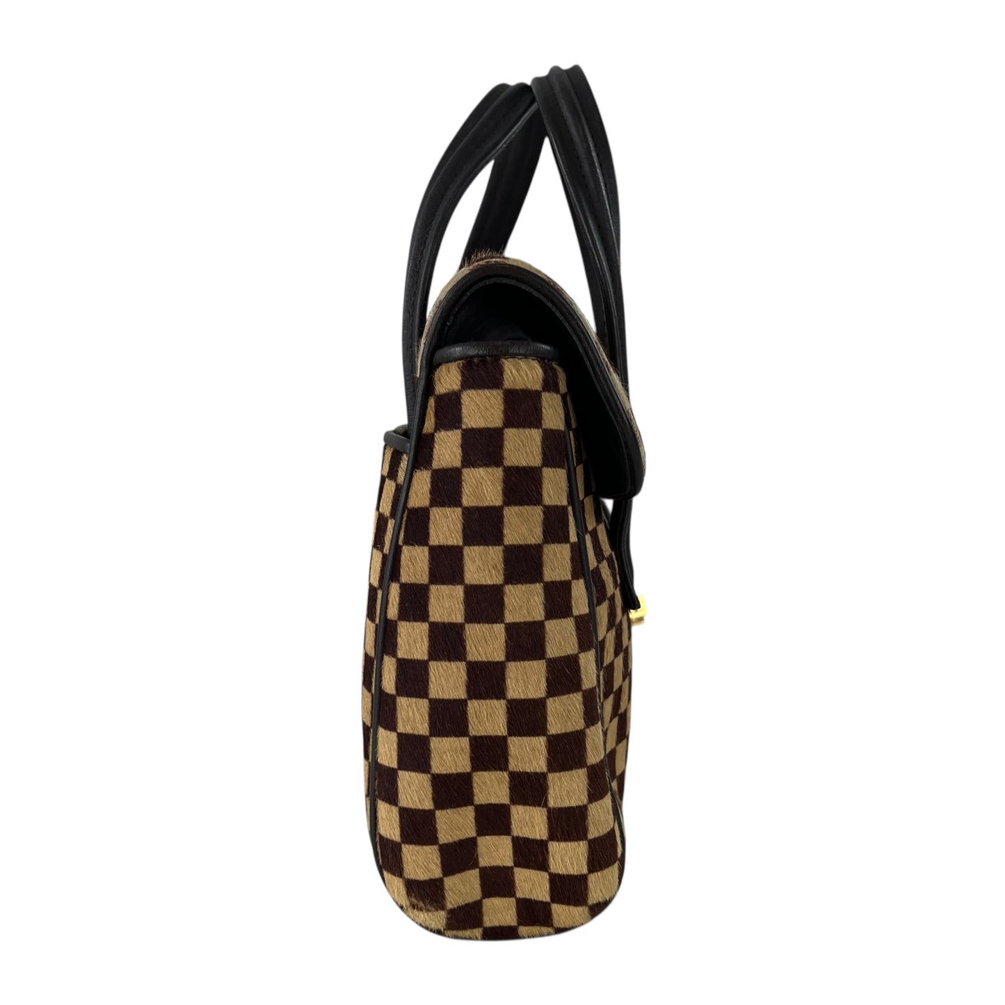 Louis Vuitton Damier Sauvage Handbag