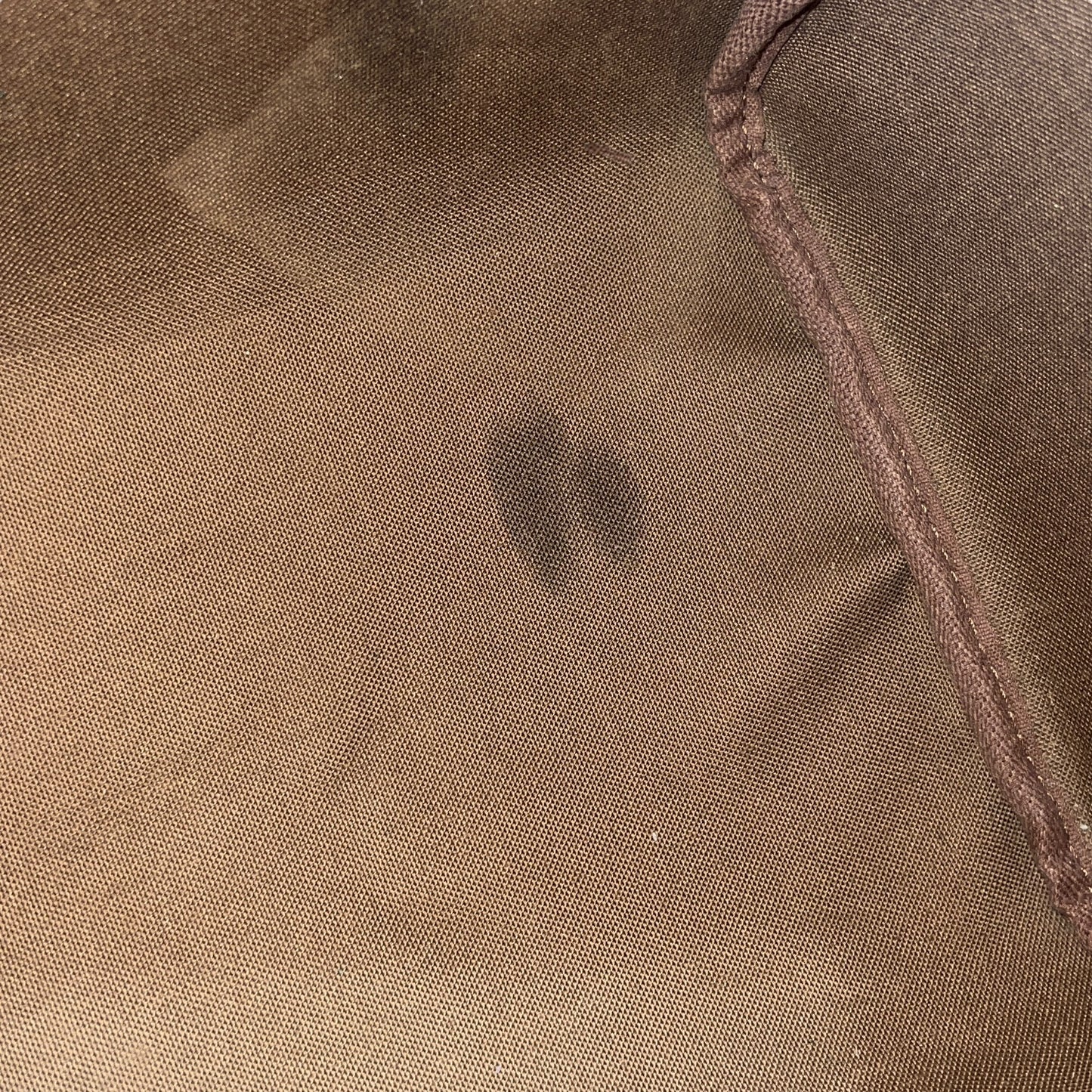 Louis Vuitton Monogram Speedy 30 Handbag