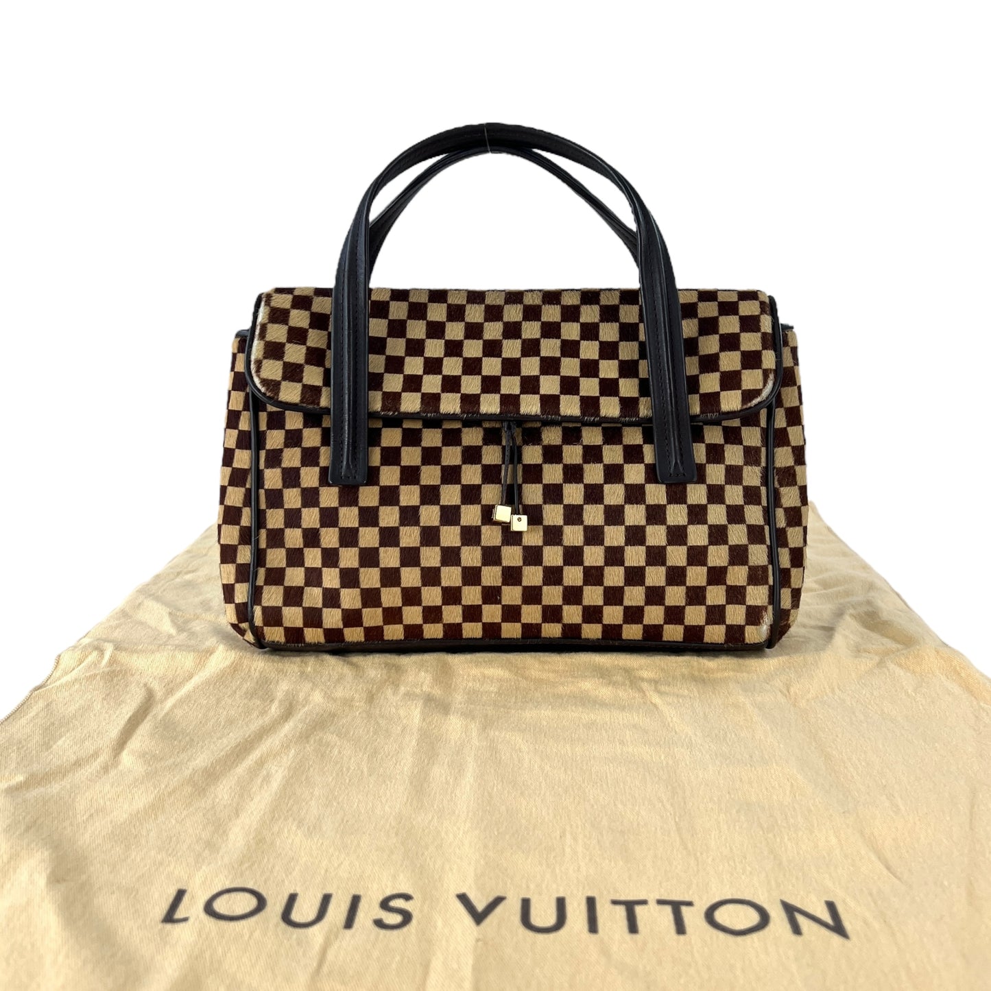 Louis Vuitton Damier Sauvage Handbag