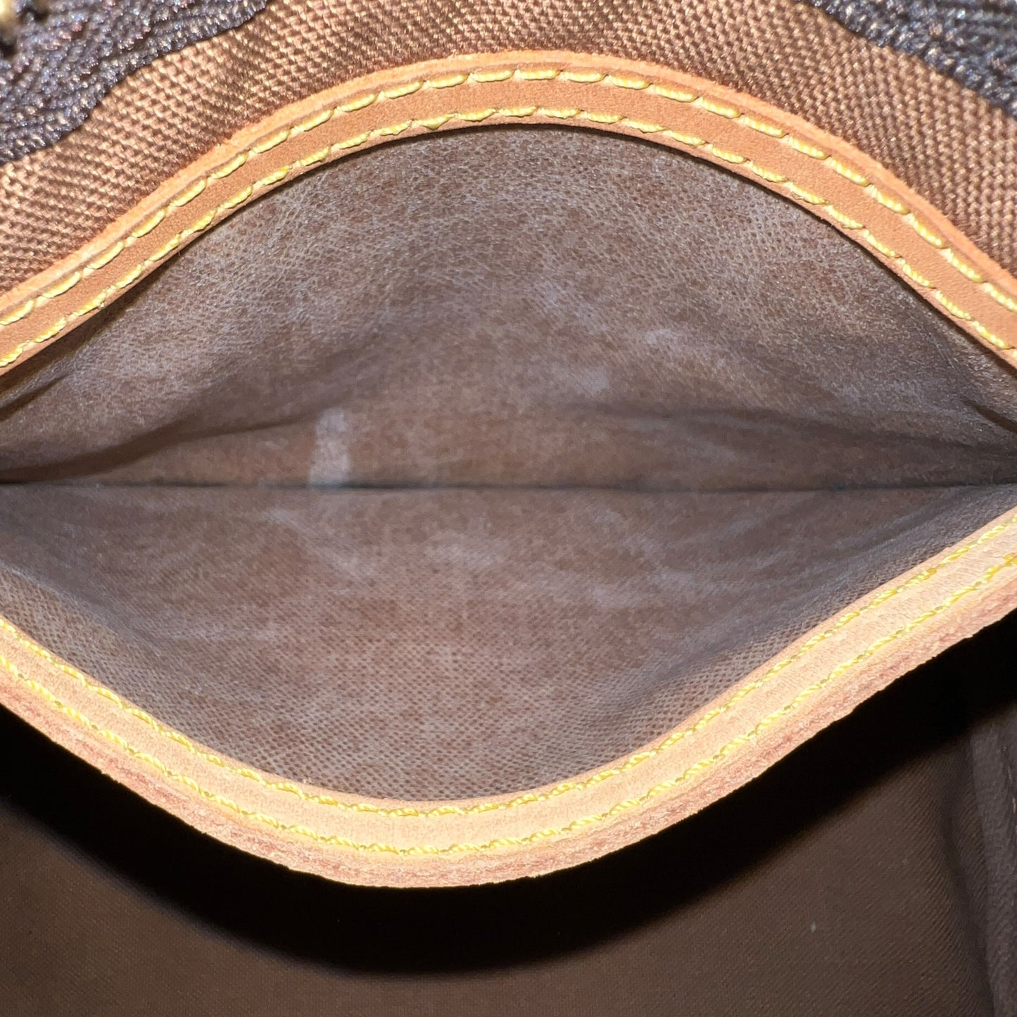 Louis Vuitton Monogram Speedy 25 Bag