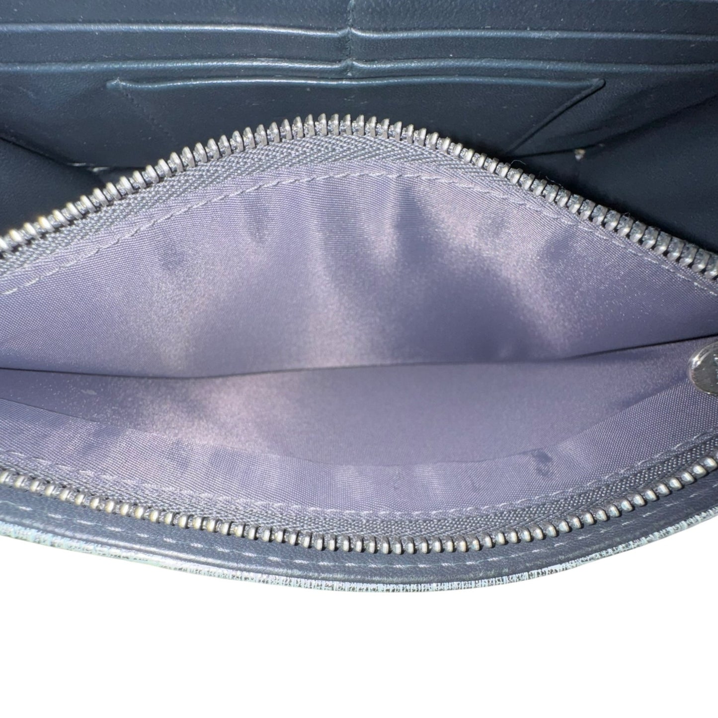 Dior Metallic Lizard Crossbody Bag