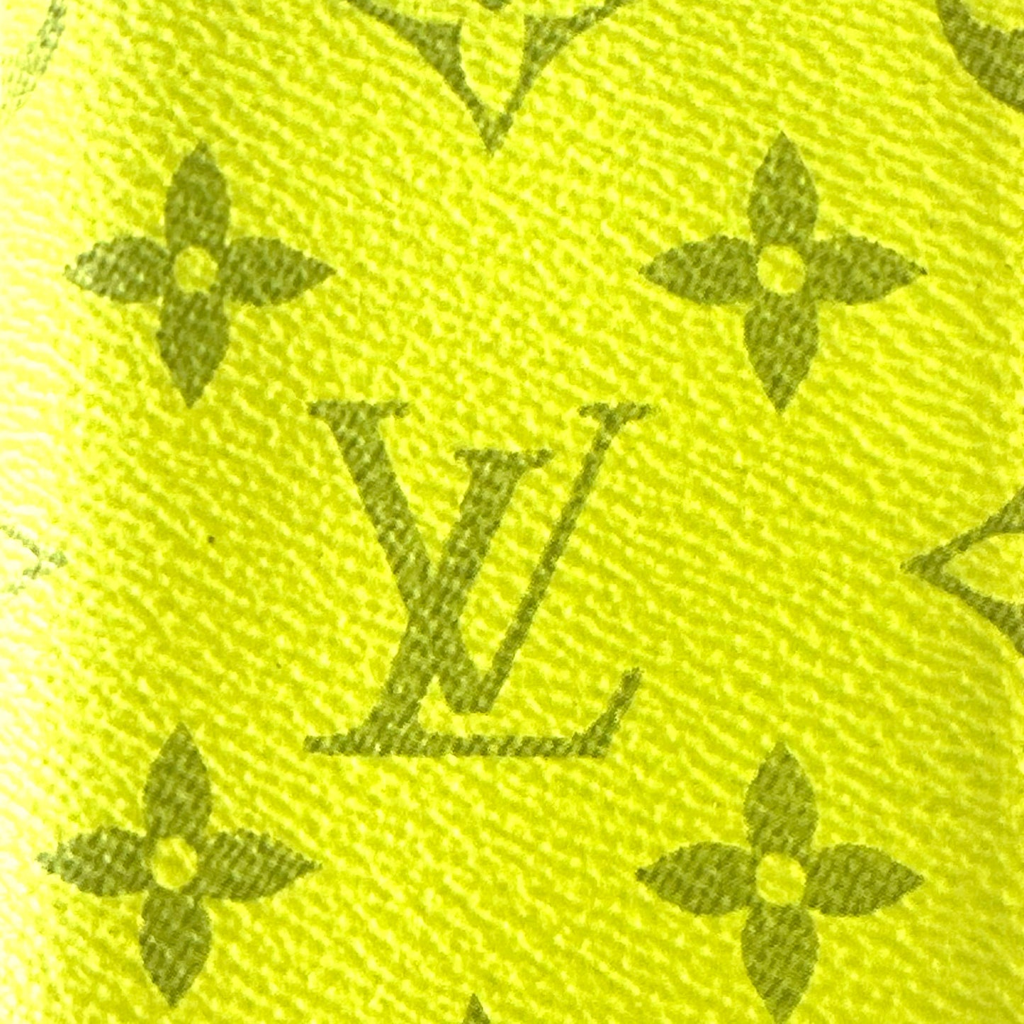 Louis Vuitton Taigarama Pocket Organizer