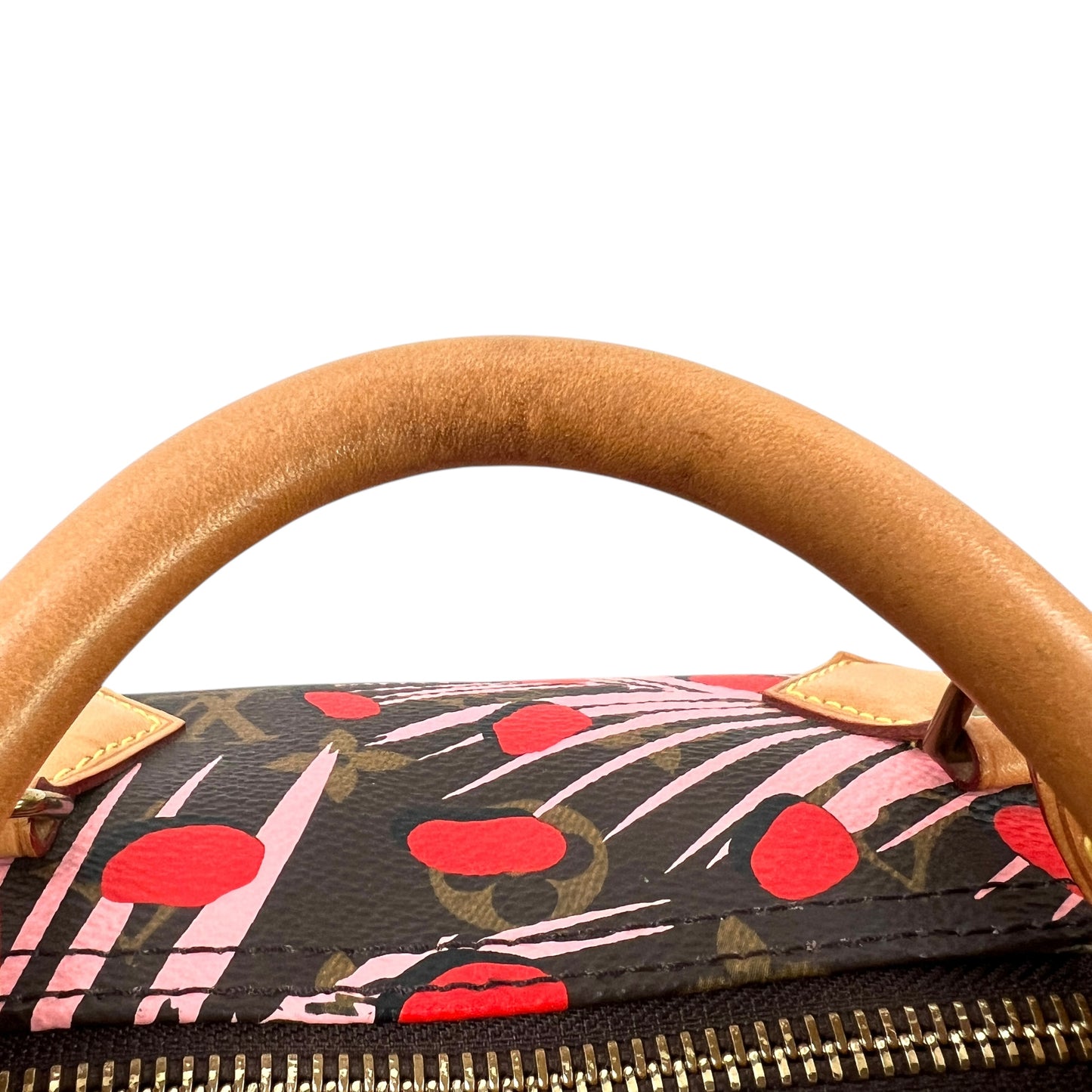 Louis Vuitton Monogram Jungle Dot Speedy 30 Bag