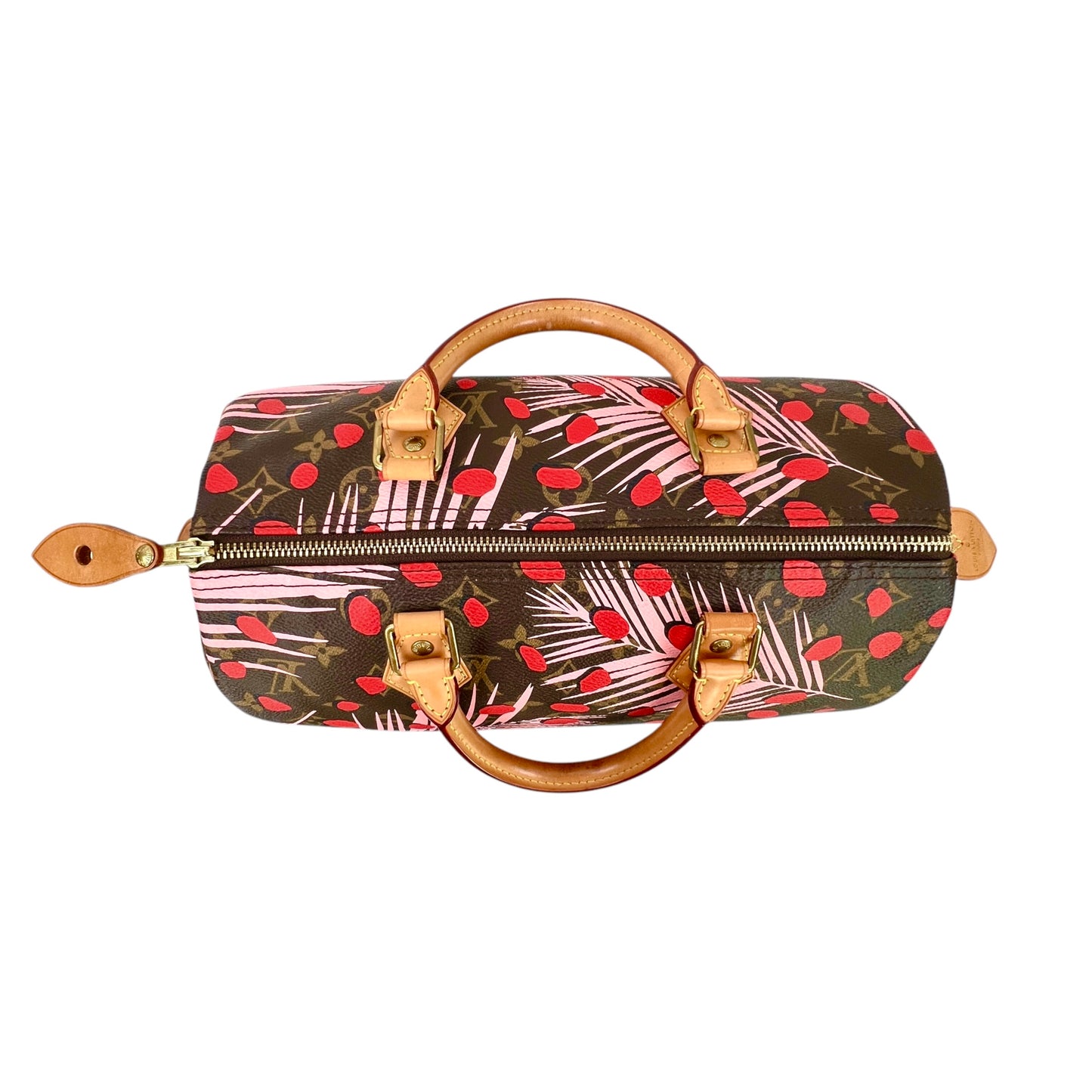 Louis Vuitton Monogram Jungle Dot Speedy 30 Bag