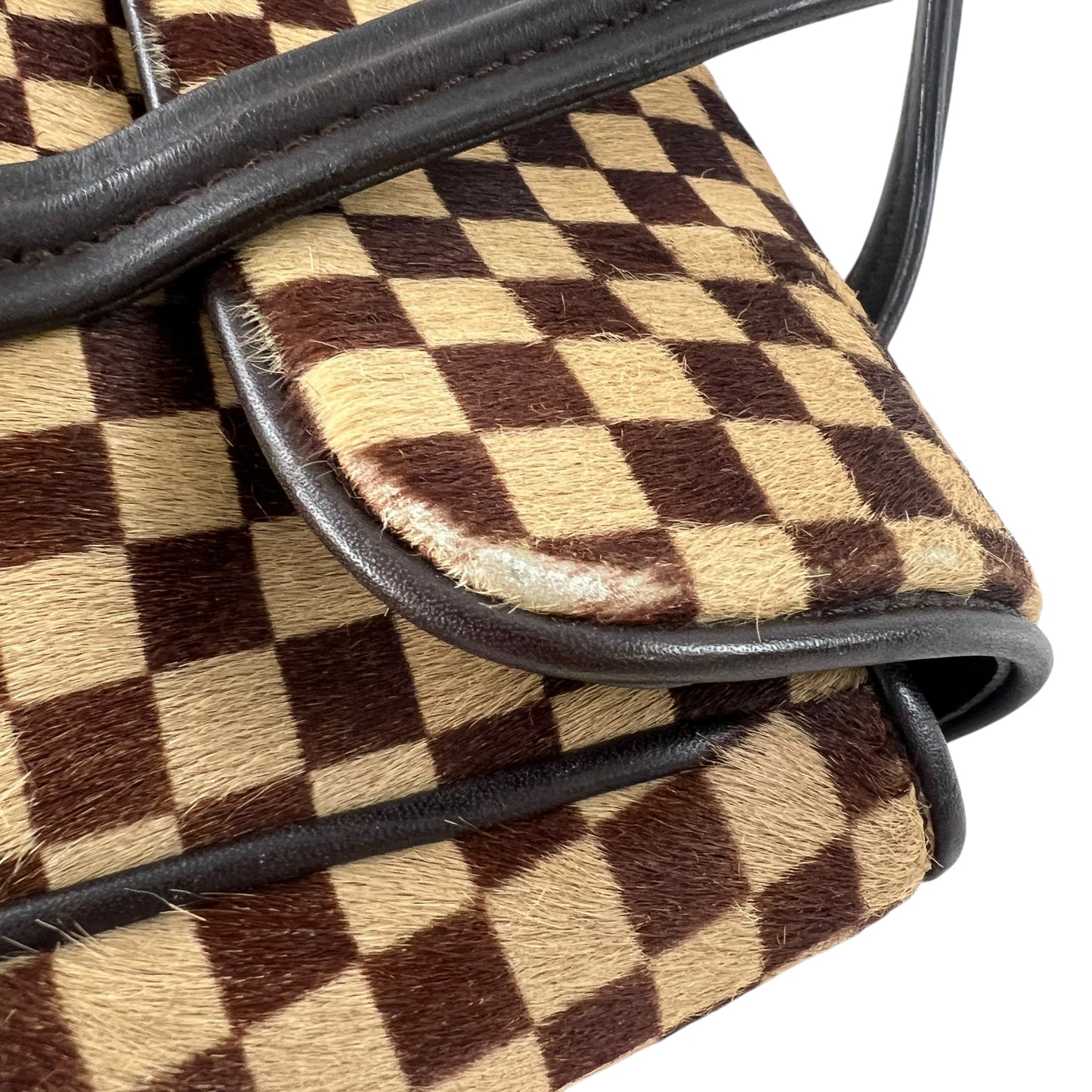 Louis Vuitton Damier Sauvage Handbag