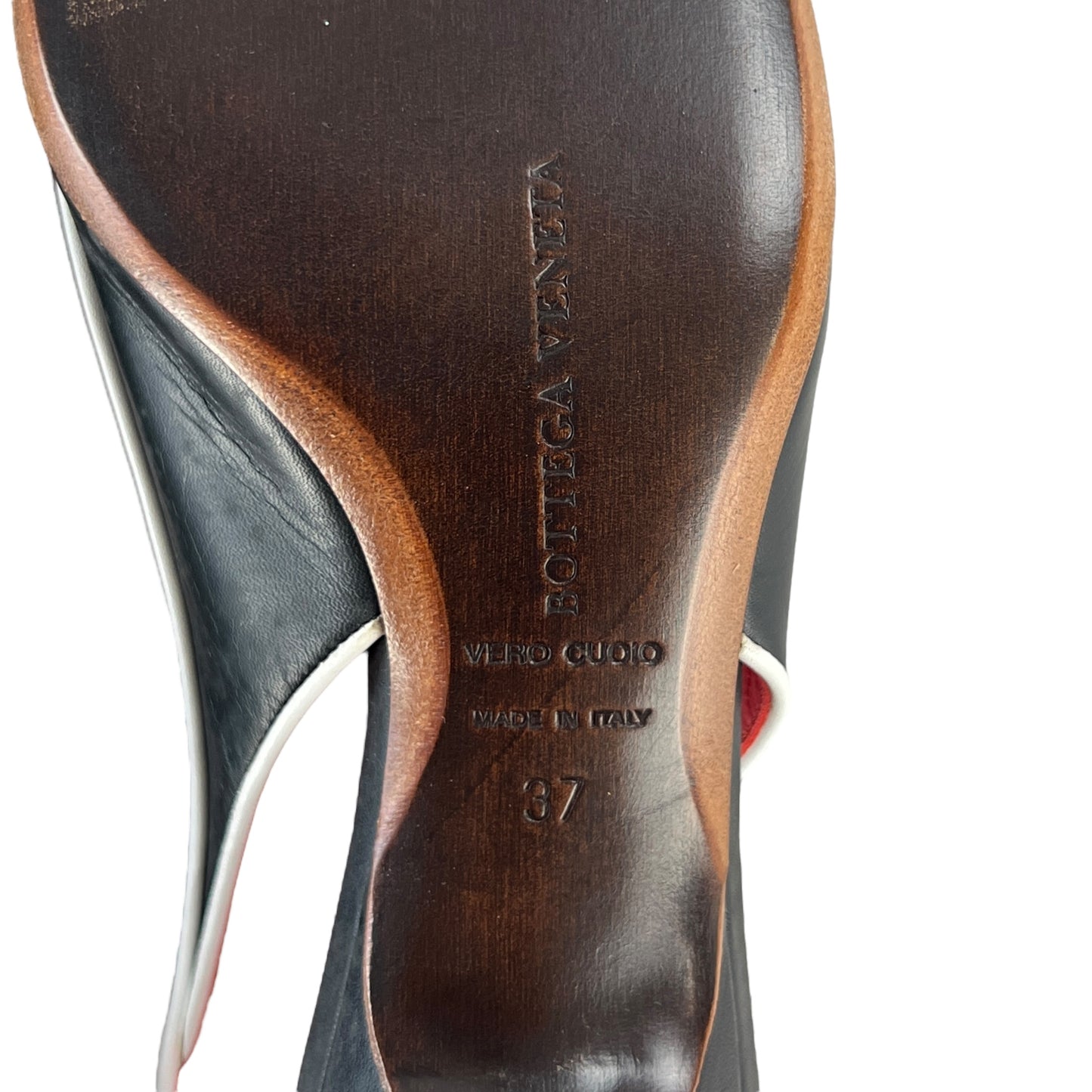 Bottega Veneta Tricolor Kitten Heel