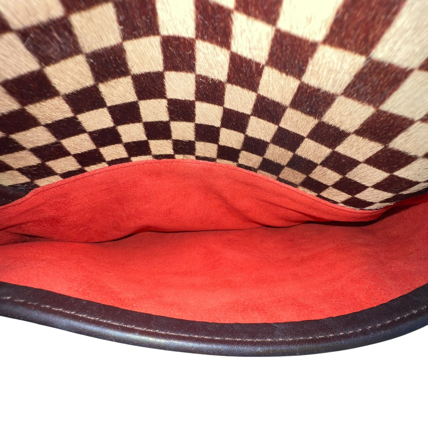 Louis Vuitton Damier Sauvage Handbag