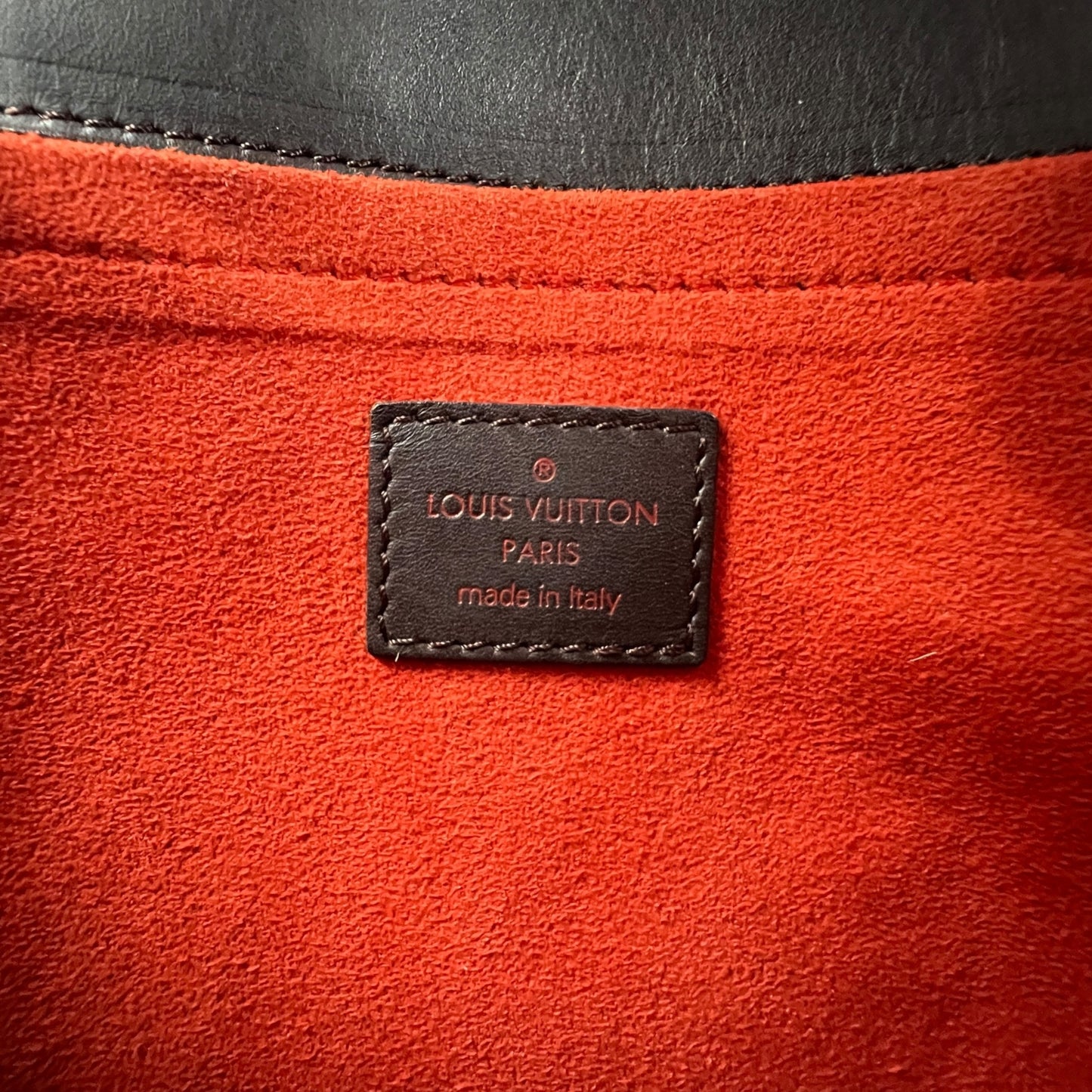 Louis Vuitton Damier Sauvage Handbag