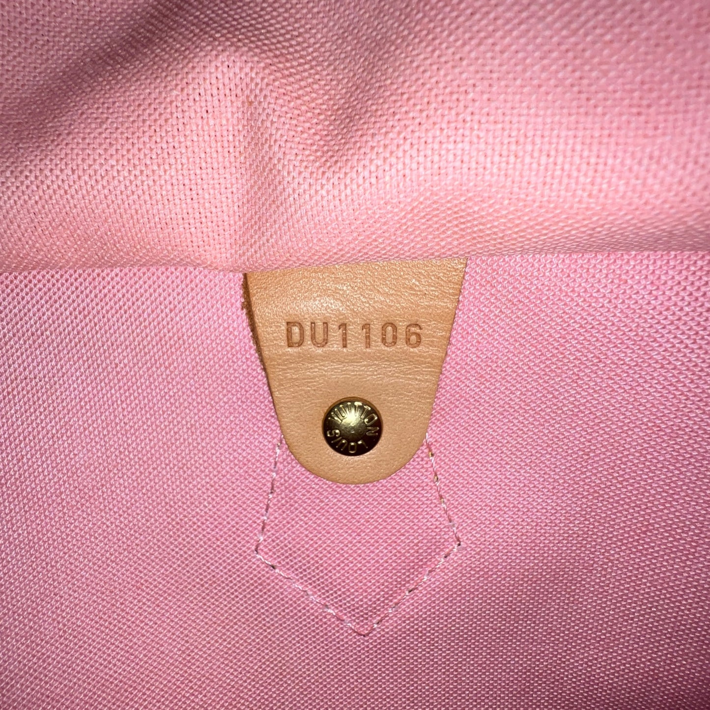 Louis Vuitton Monogram Jungle Dot Speedy 30 Bag