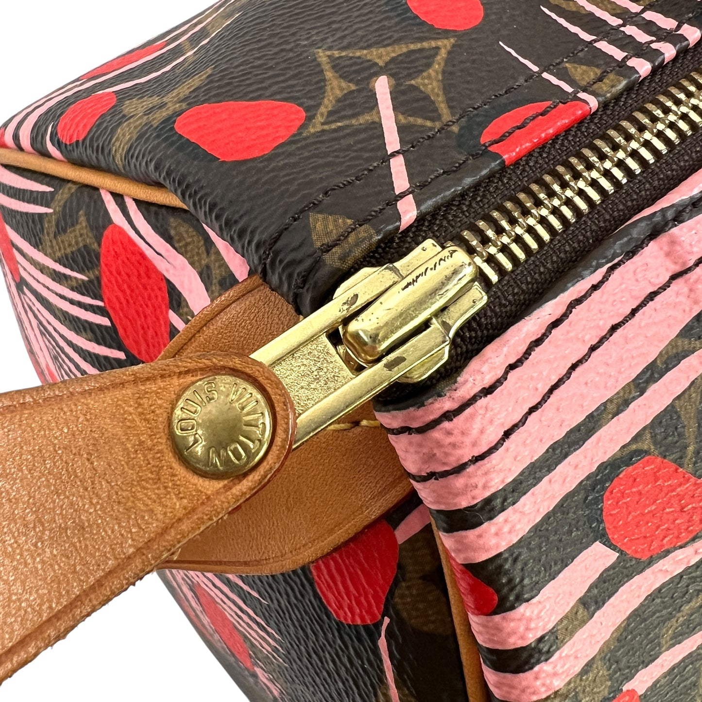 Louis Vuitton Monogram Jungle Dot Speedy 30 Bag