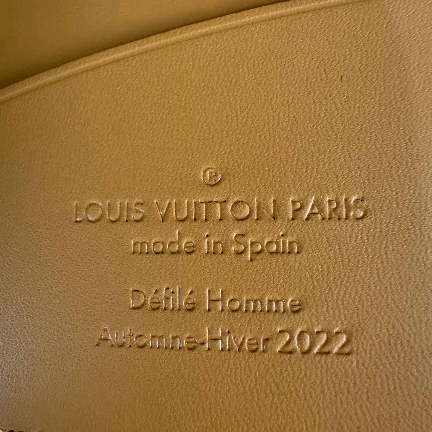 Louis Vuitton Blur Pocket Organizer