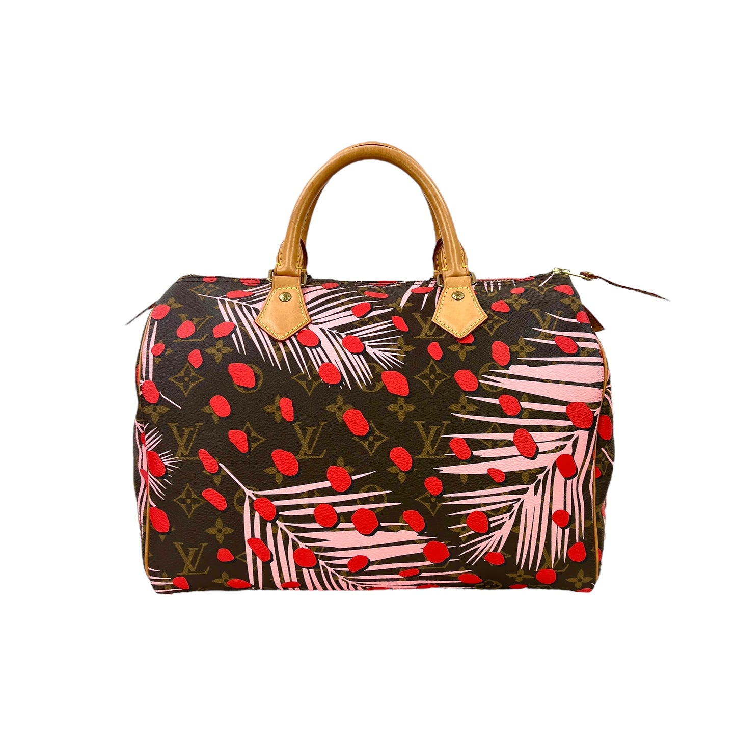 Louis Vuitton Monogram Jungle Dot Speedy 30 Bag