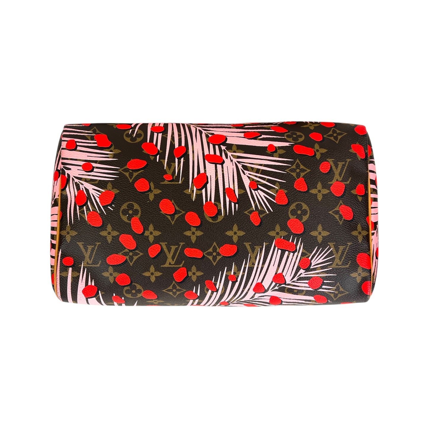 Louis Vuitton Monogram Jungle Dot Speedy 30 Bag