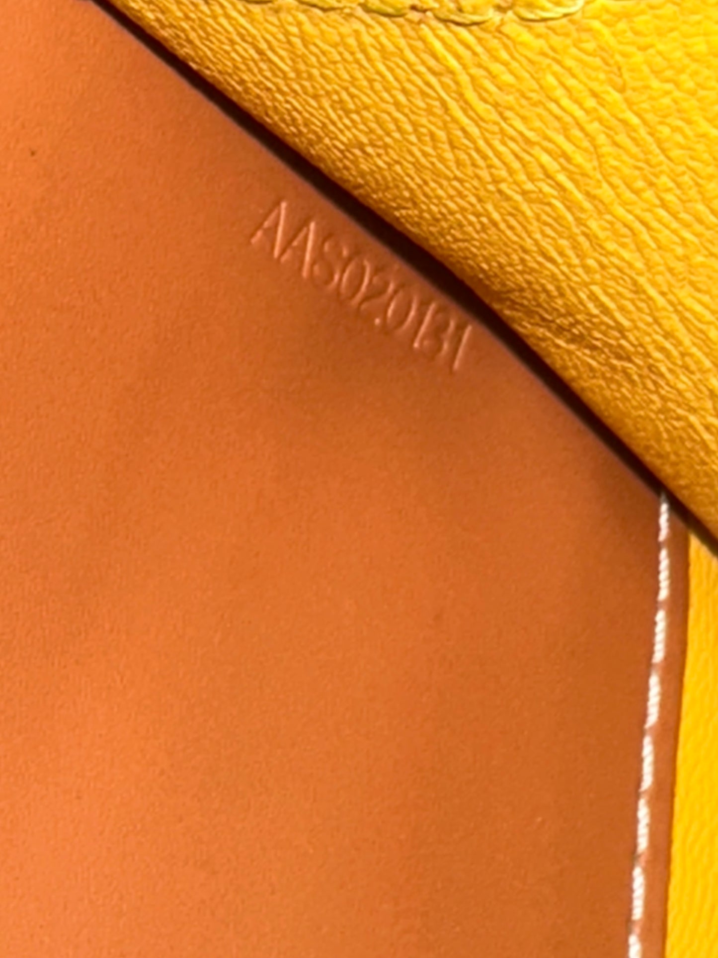 Goyard Chypre Briefcase