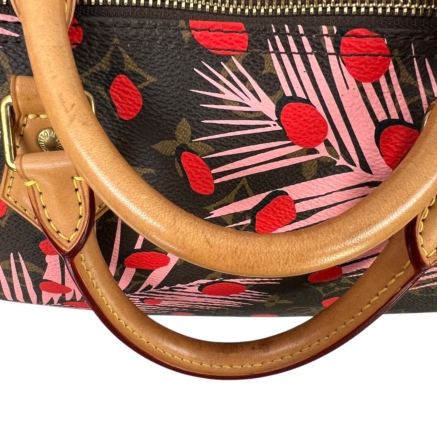 Louis Vuitton Monogram Jungle Dot Speedy 30 Bag