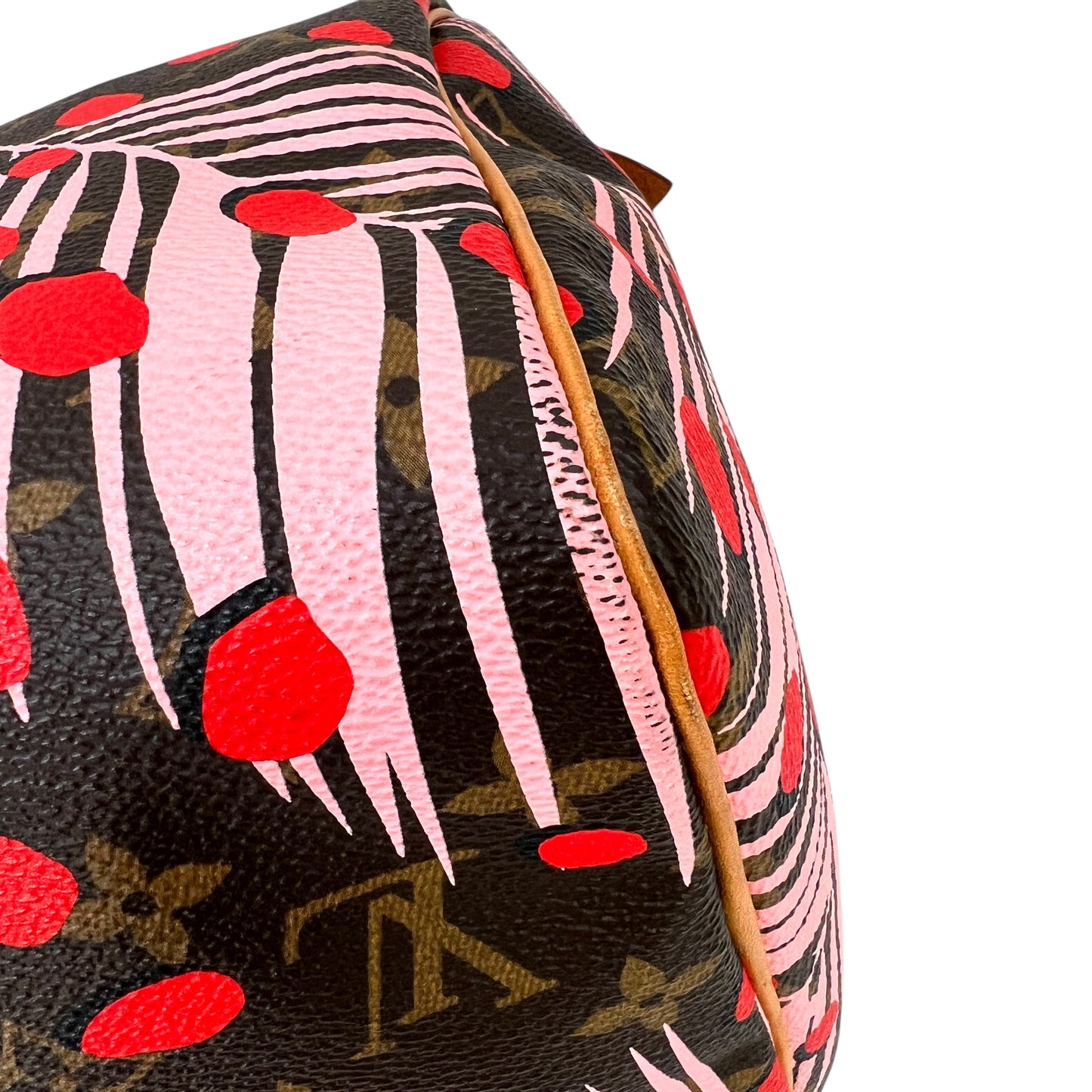 Louis Vuitton Monogram Jungle Dot Speedy 30 Bag