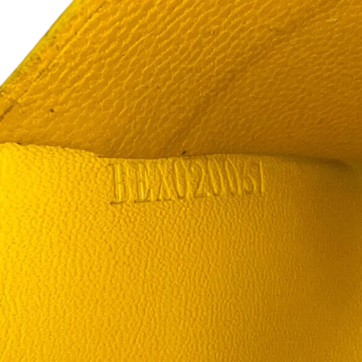 Goyard Richelieu Long Wallet