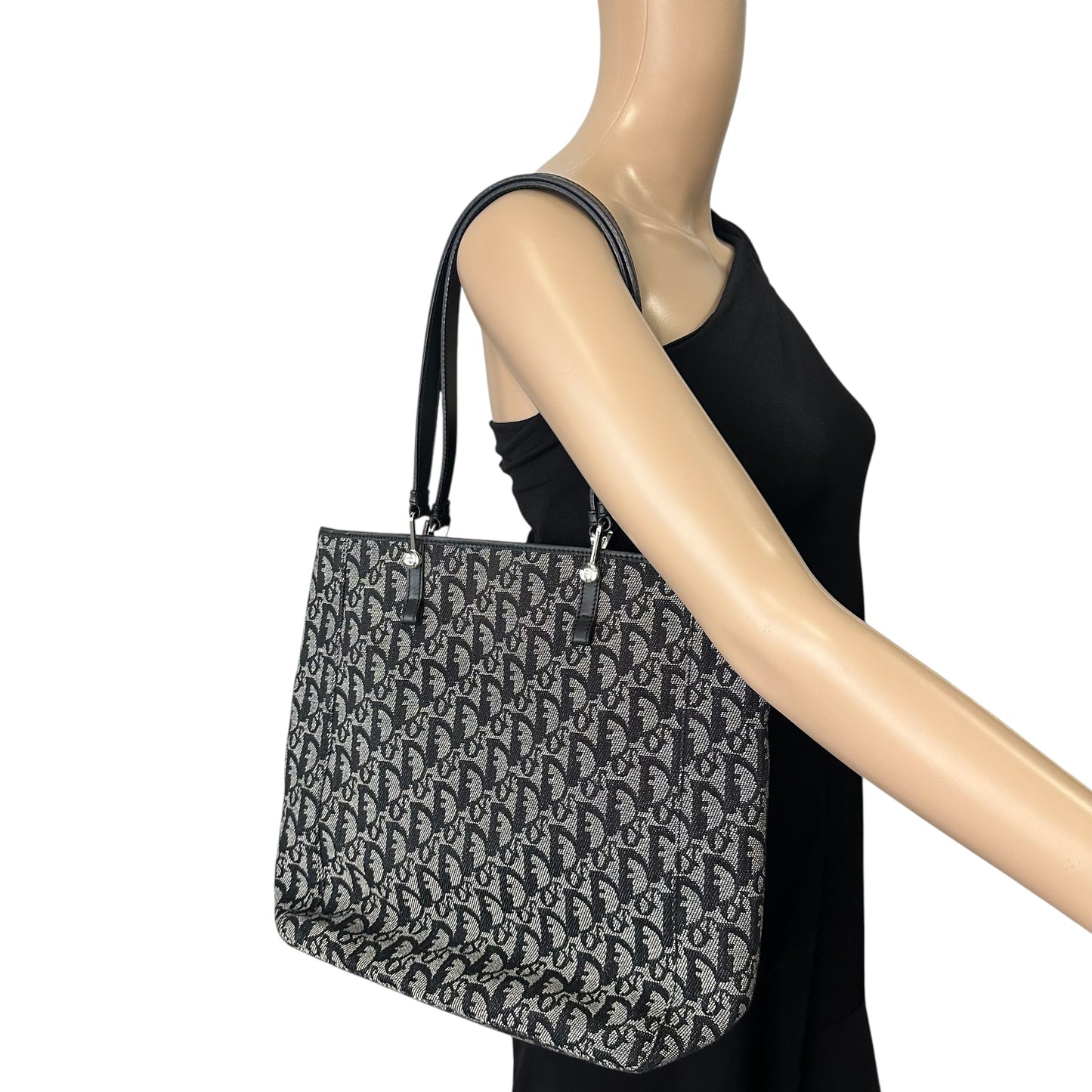 Dior Trotter Monogram Tote Bag