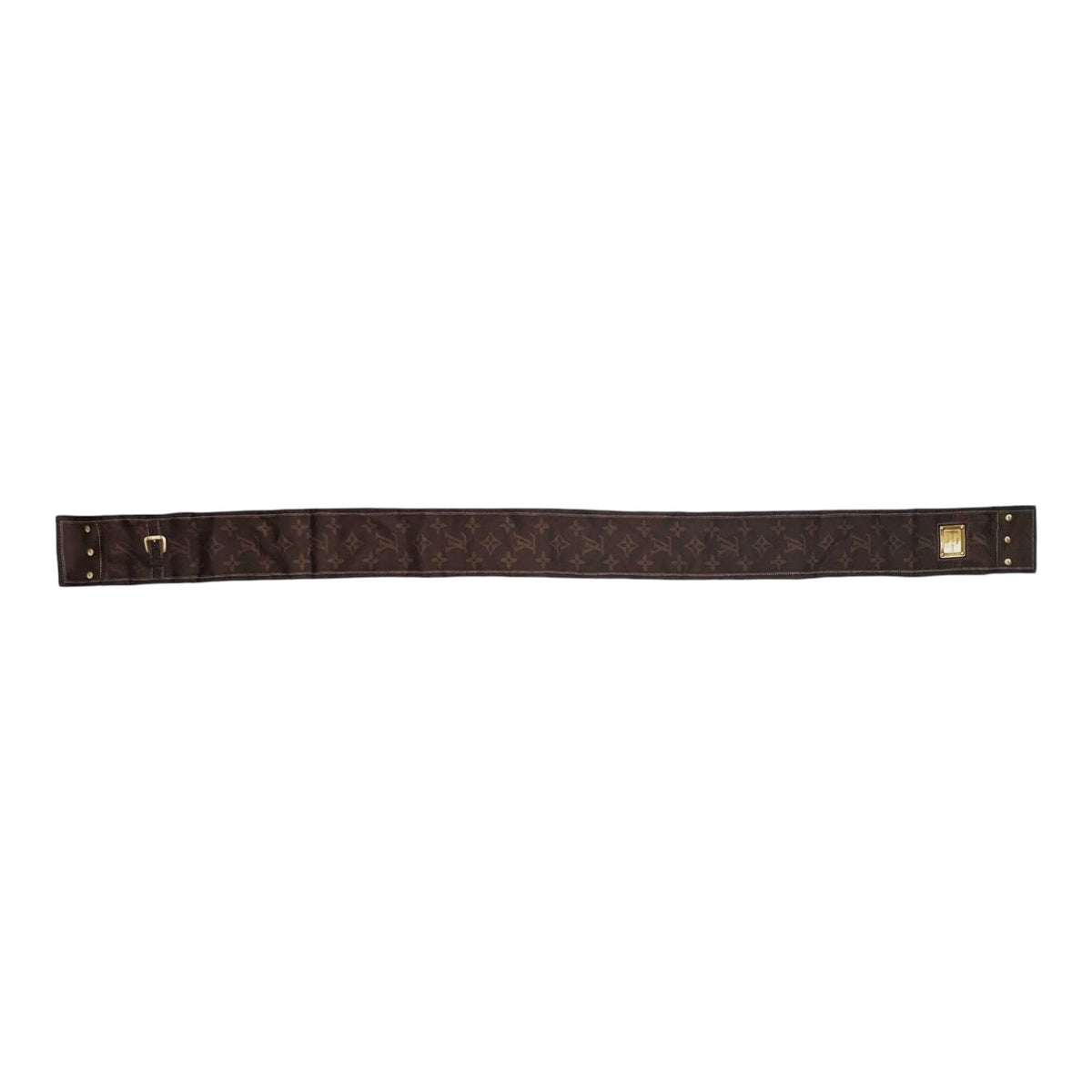 Louis Vuitton Monogram Silk Twilly
