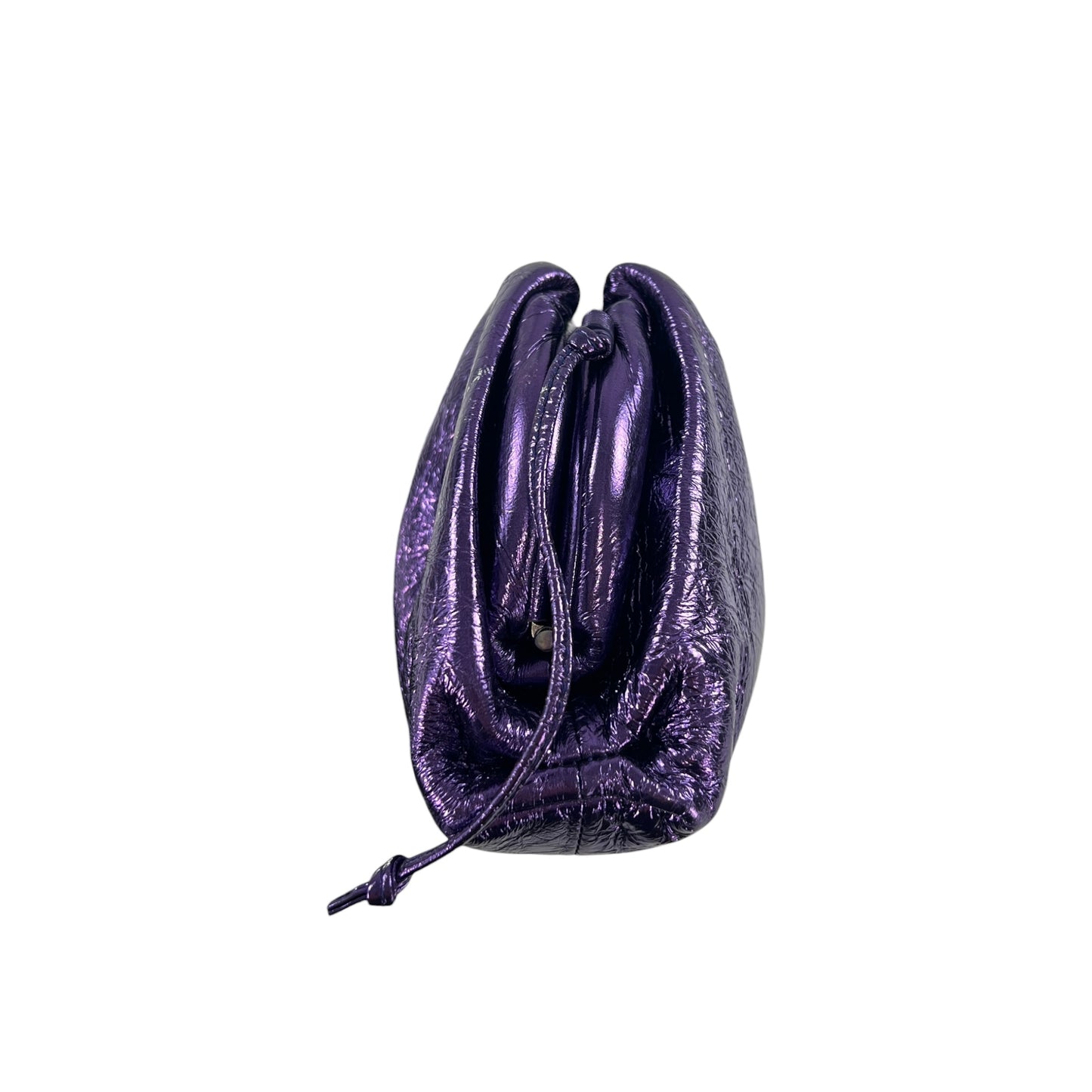 Bottega Veneta Metallic The Pouch Bag