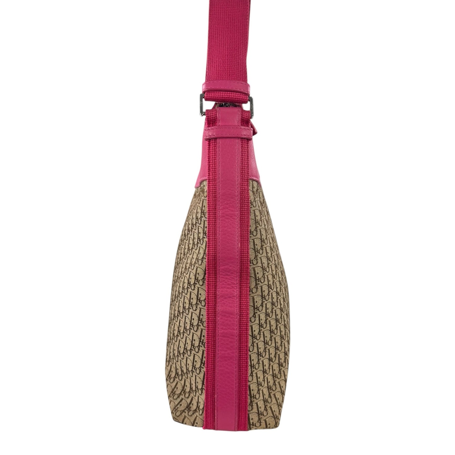 Dior Trotter Street Chic Crossbody Bag
