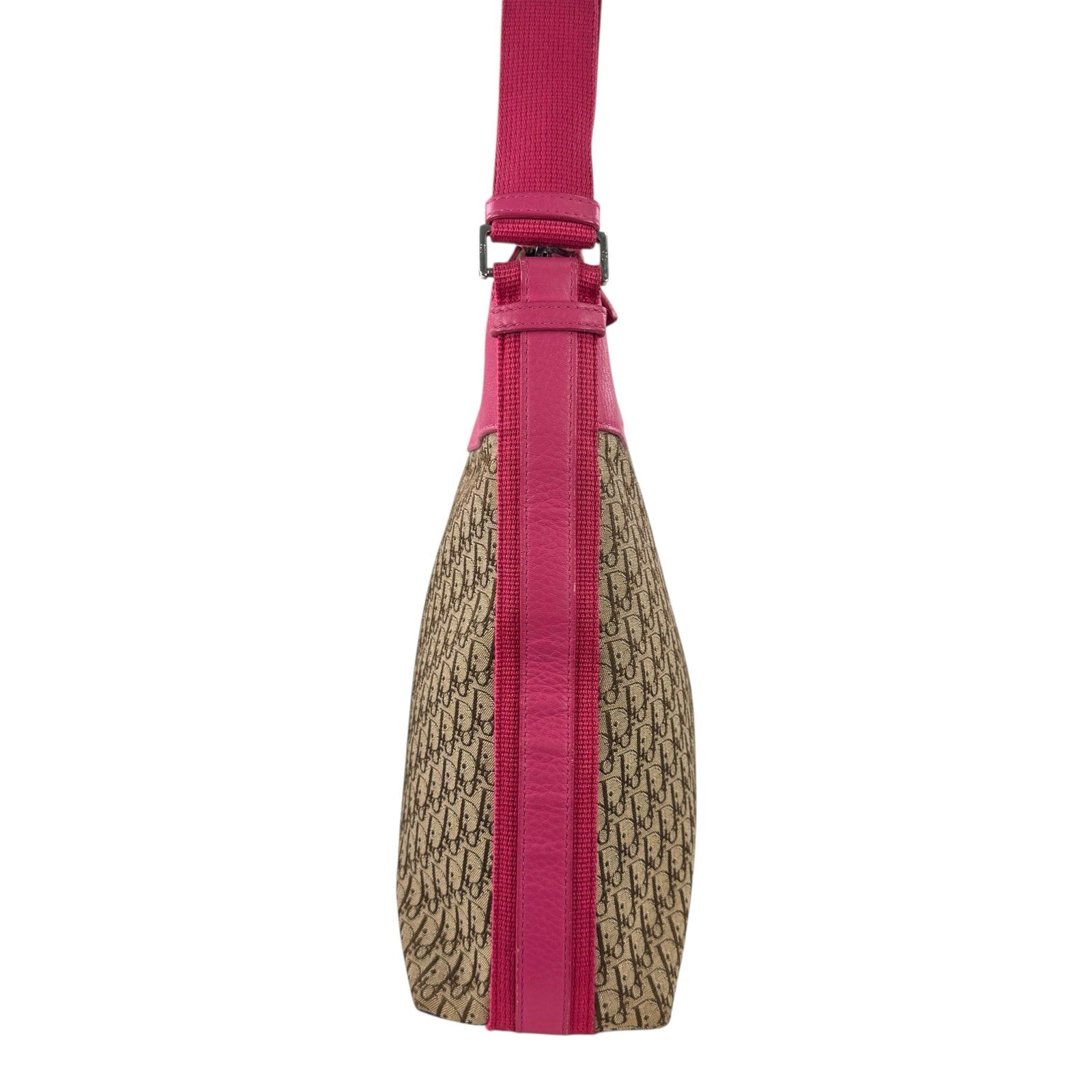 Dior Trotter Street Chic Crossbody Bag