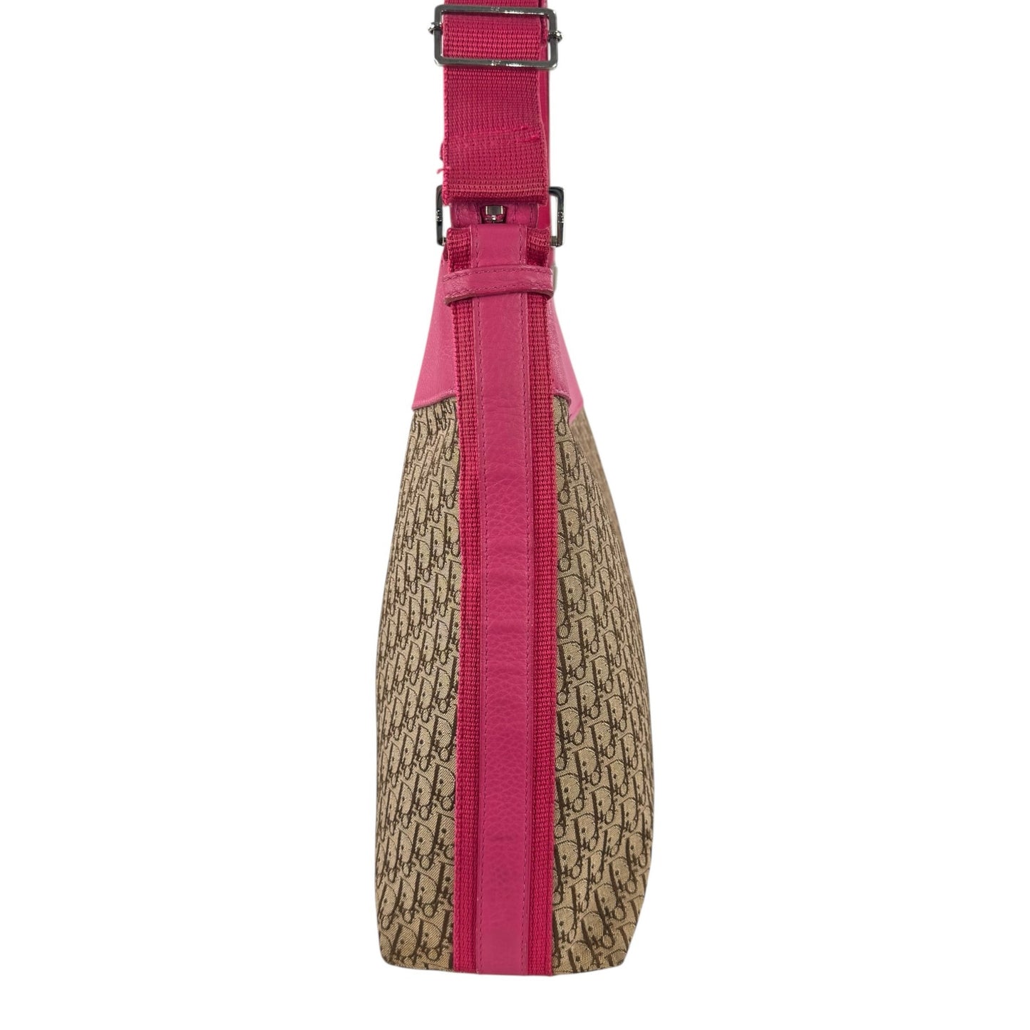 Dior Trotter Street Chic Crossbody Bag