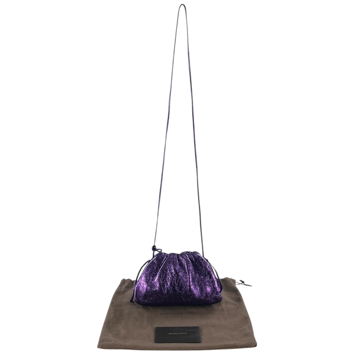 Bottega Veneta Metallic The Pouch Bag