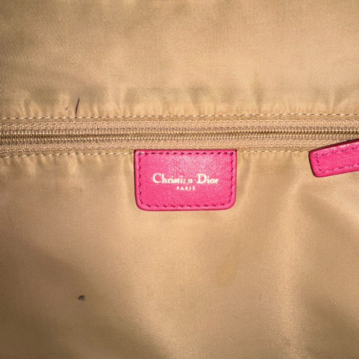 Dior Trotter Street Chic Crossbody Bag