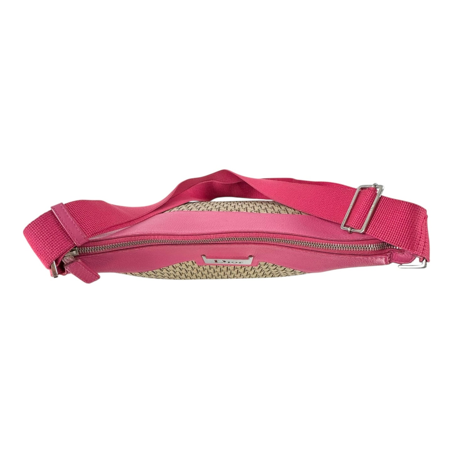 Dior Trotter Street Chic Crossbody Bag