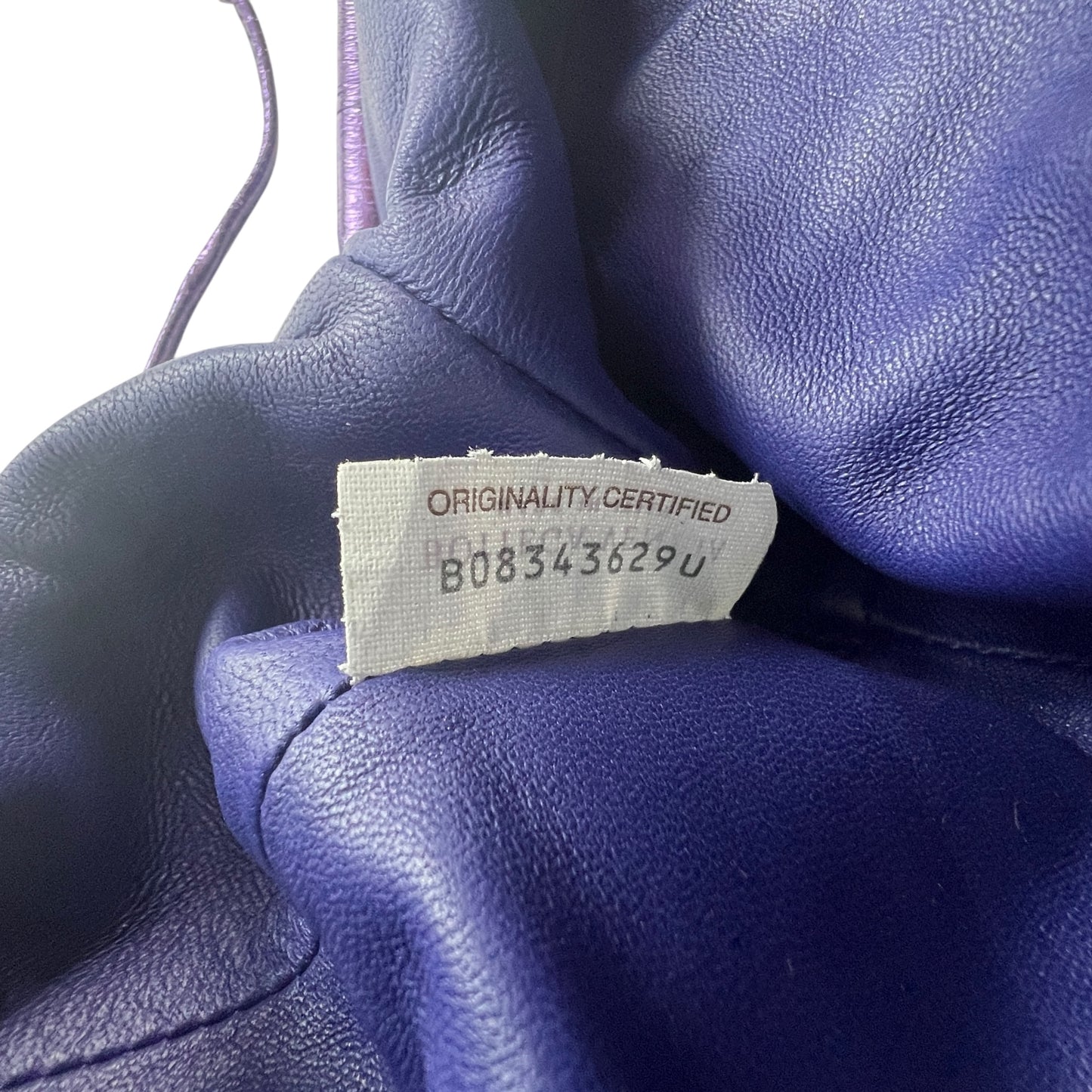 Bottega Veneta Metallic The Pouch Bag