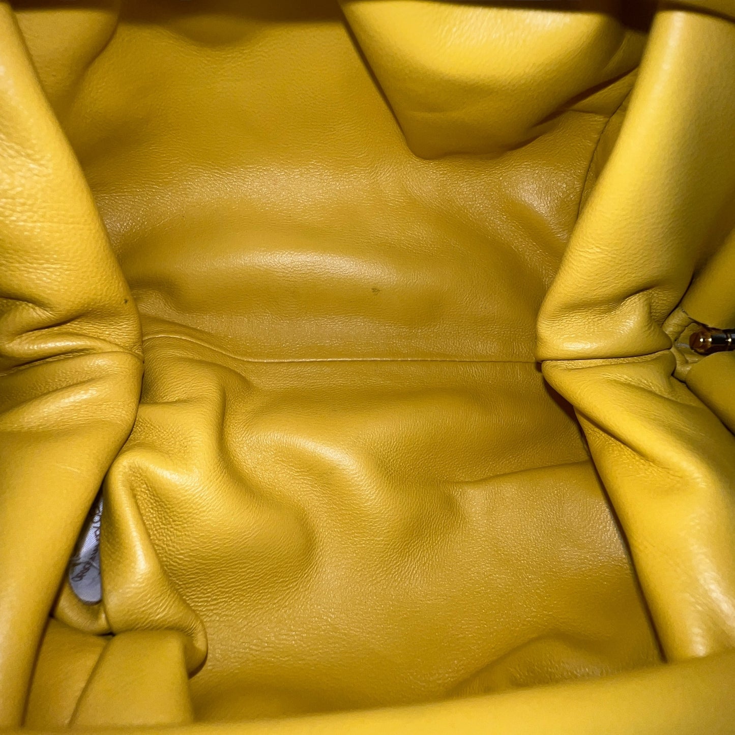 Bottega Veneta Intrecciato The Pouch Bag