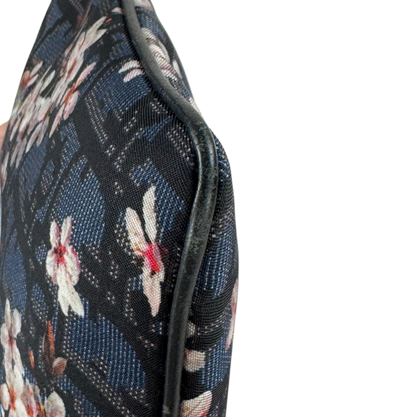 Dior x Sorayama Trotter Pouch