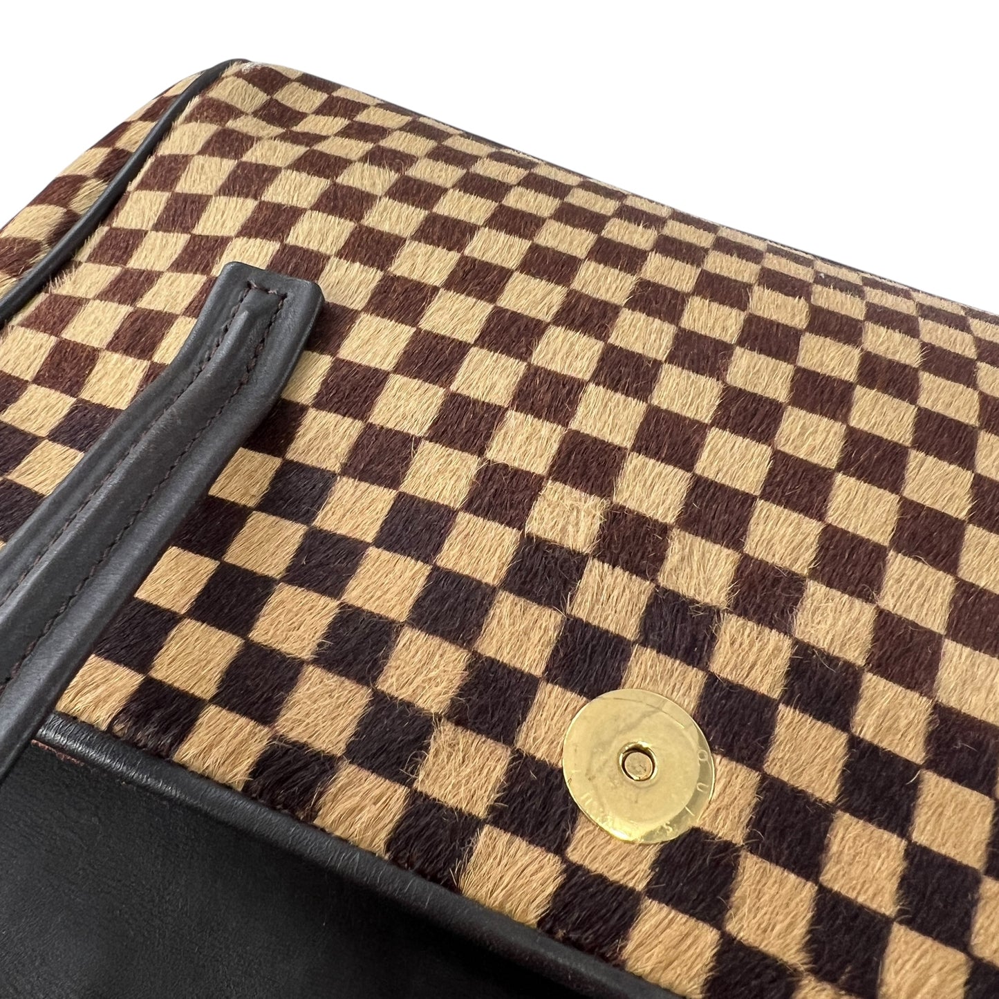 Louis Vuitton Damier Sauvage Handbag