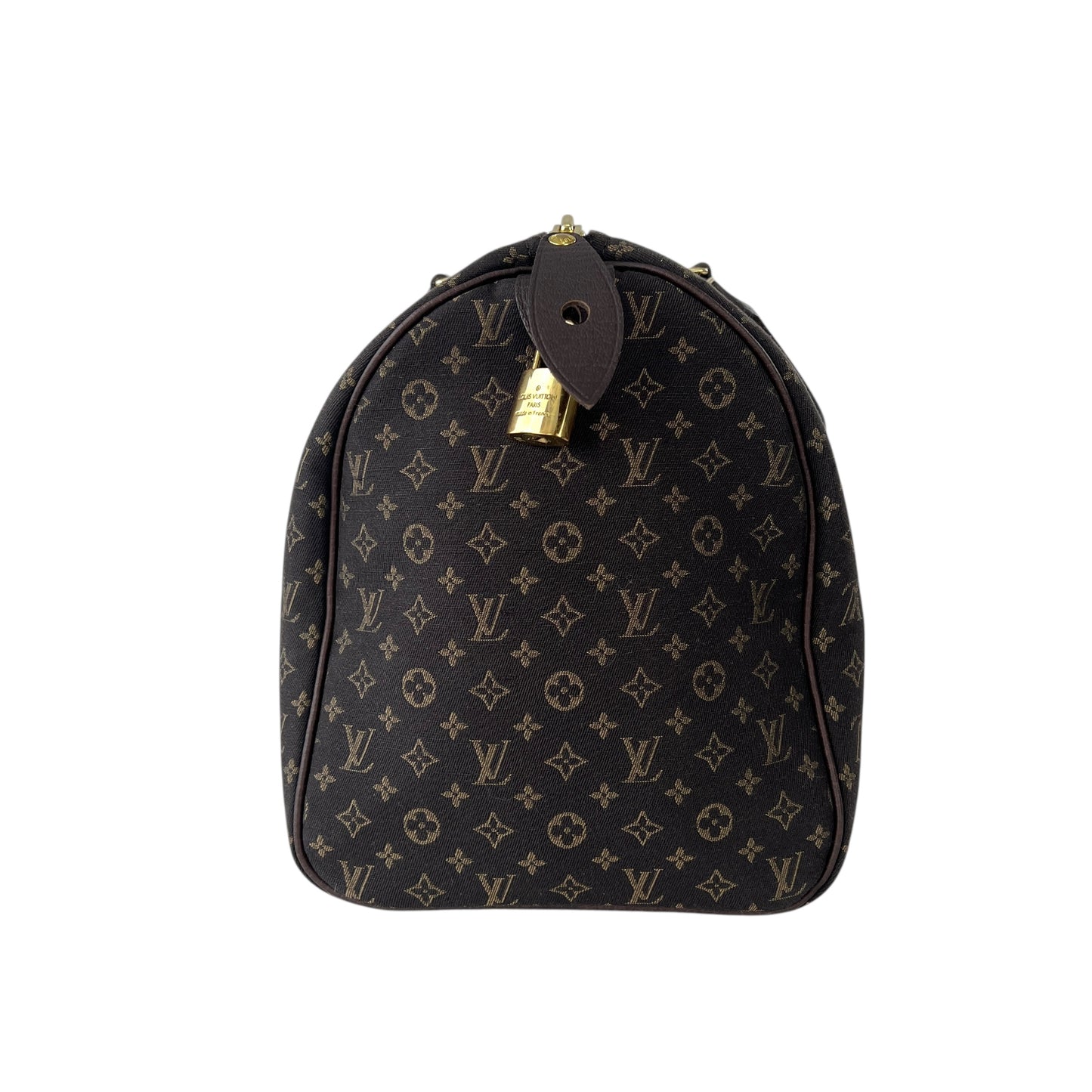 Louis Vuitton Mini Lin Speedy 30 Bag
