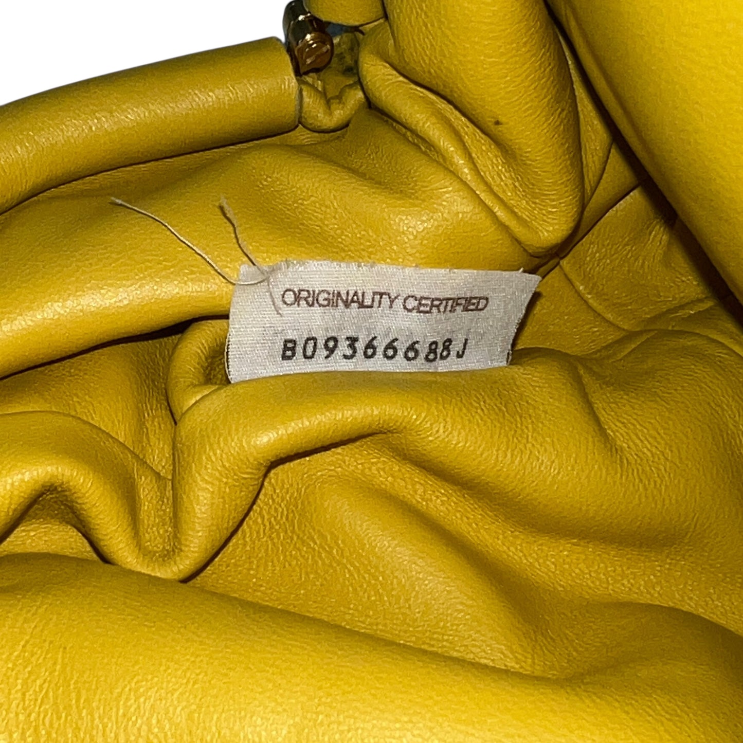 Bottega Veneta Intrecciato The Pouch Bag