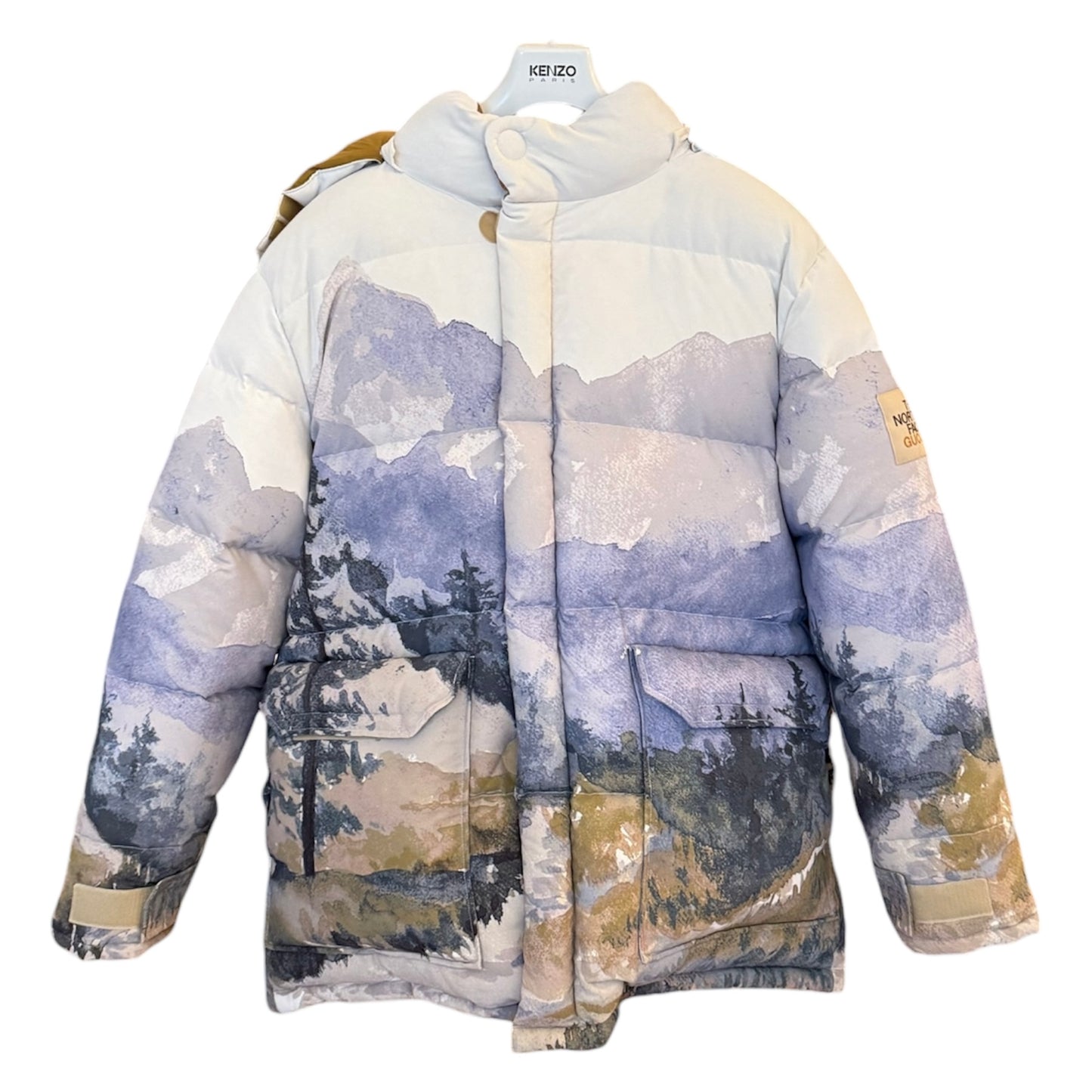 Gucci x North Face Puffer Jacket