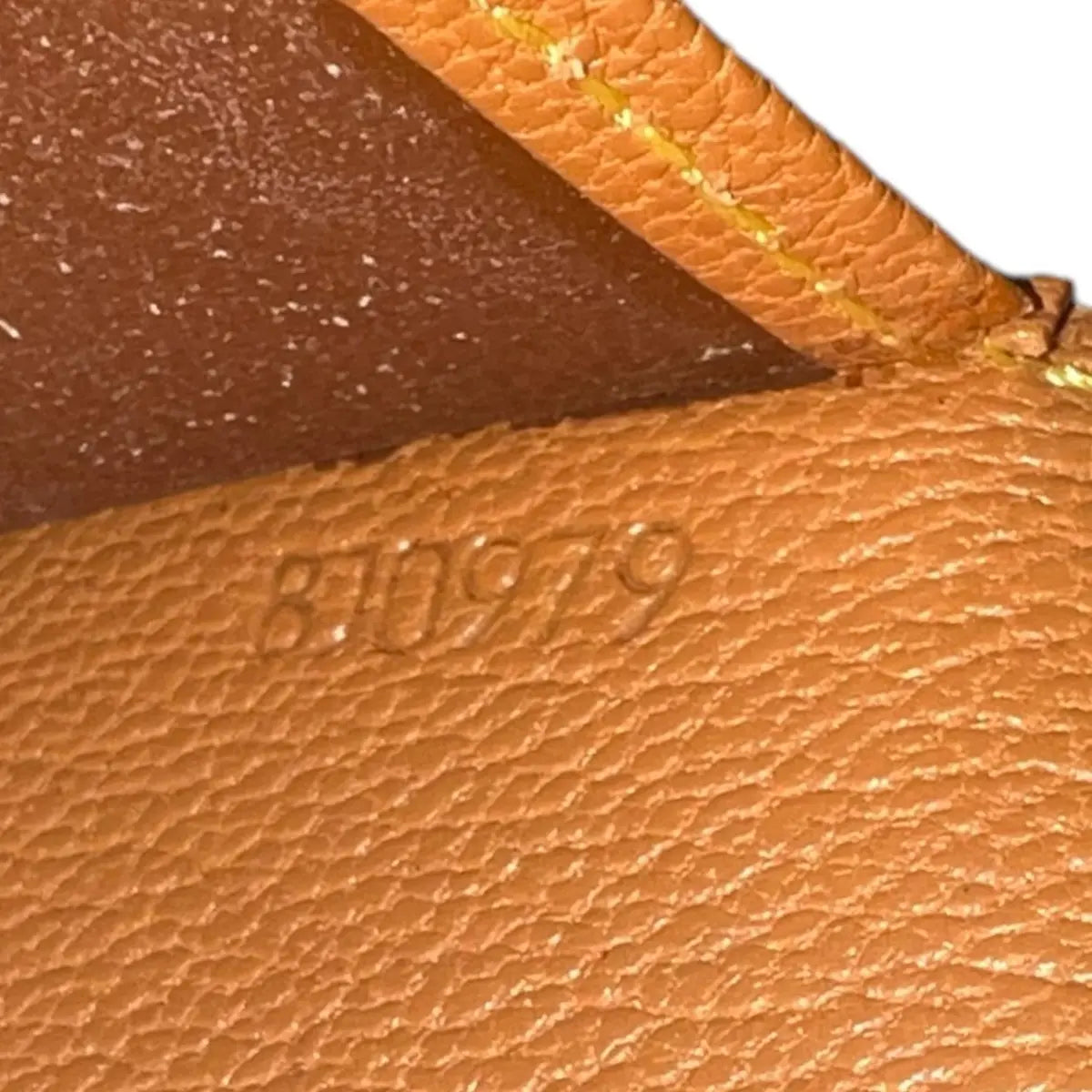 Louis Vuitton Nomade Leather Wallet