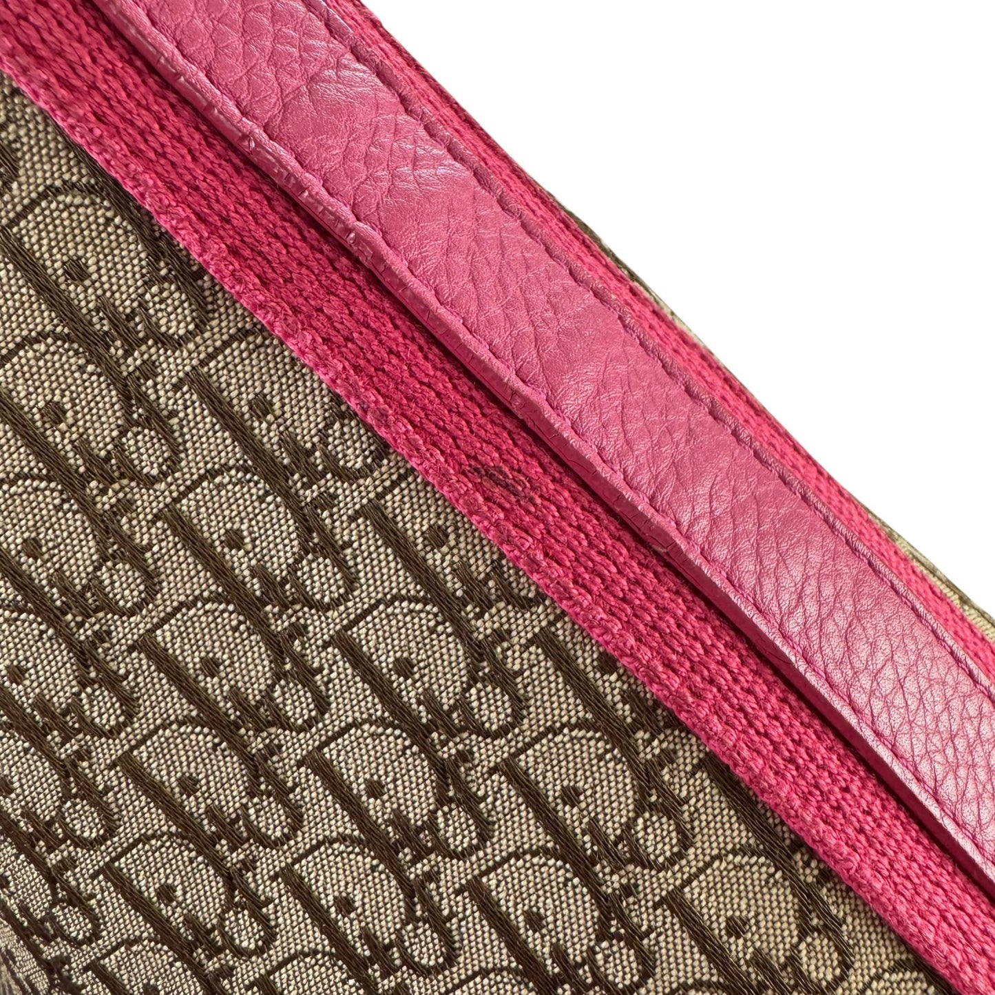 Dior Trotter Street Chic Crossbody Bag