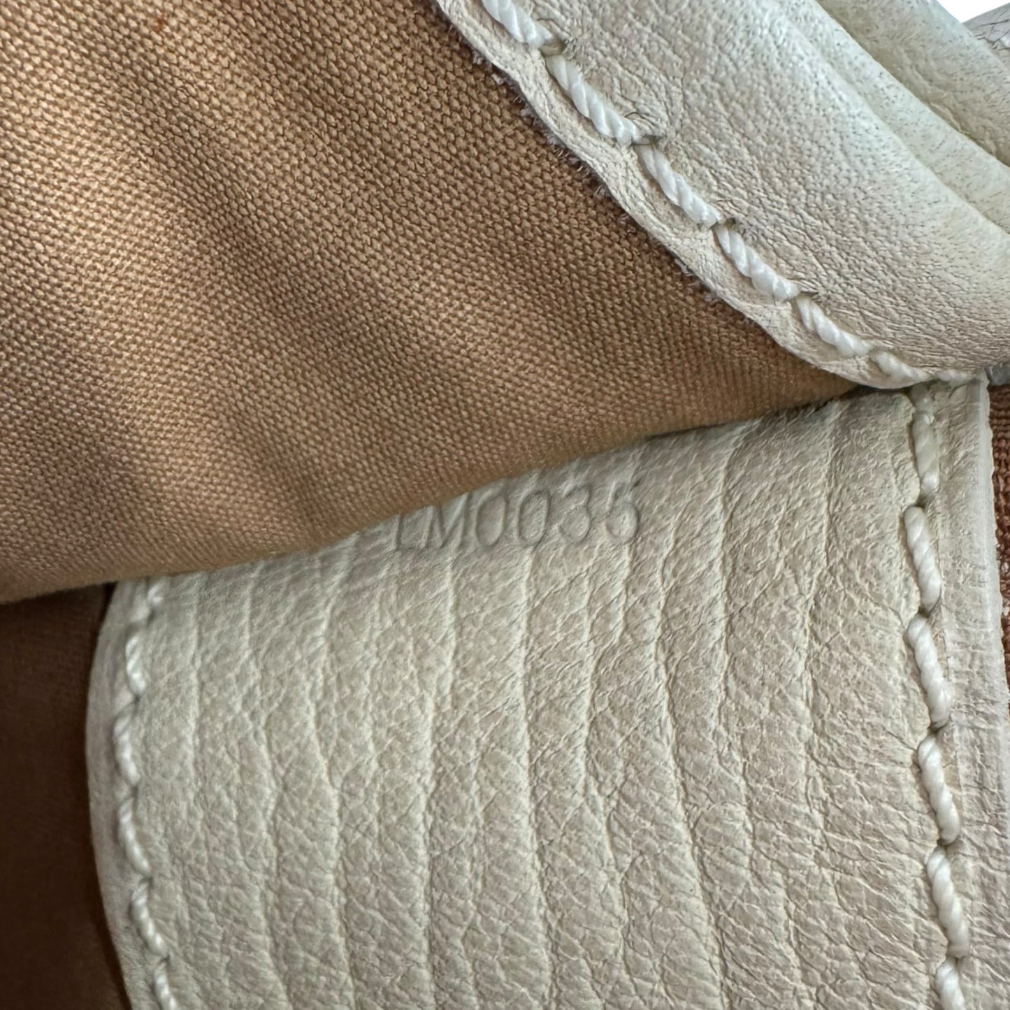 Louis Vuitton Mini Lin Monogram Amman Crossbody Bag