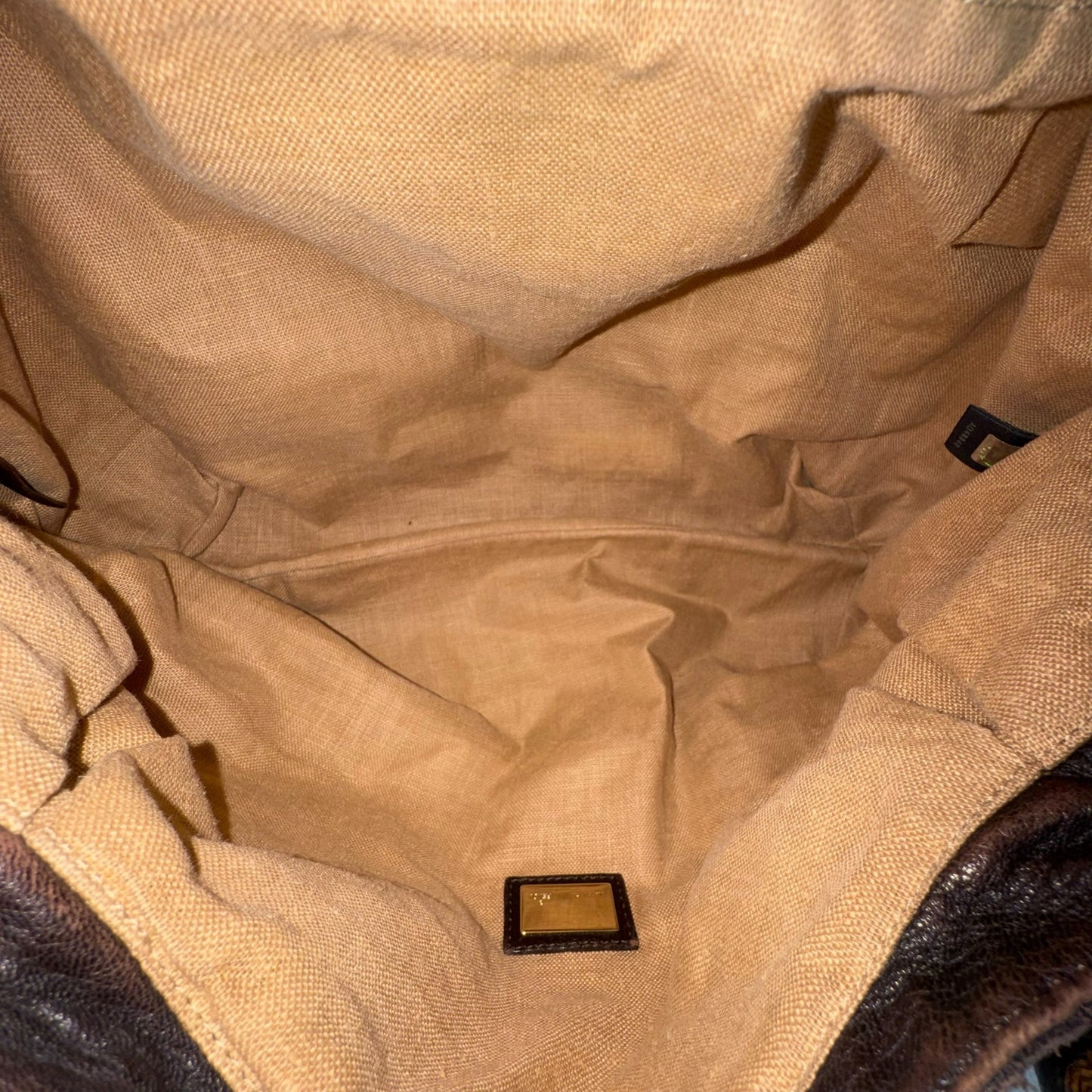 Fendi Zucca and Tortoiseshell Spy Bag